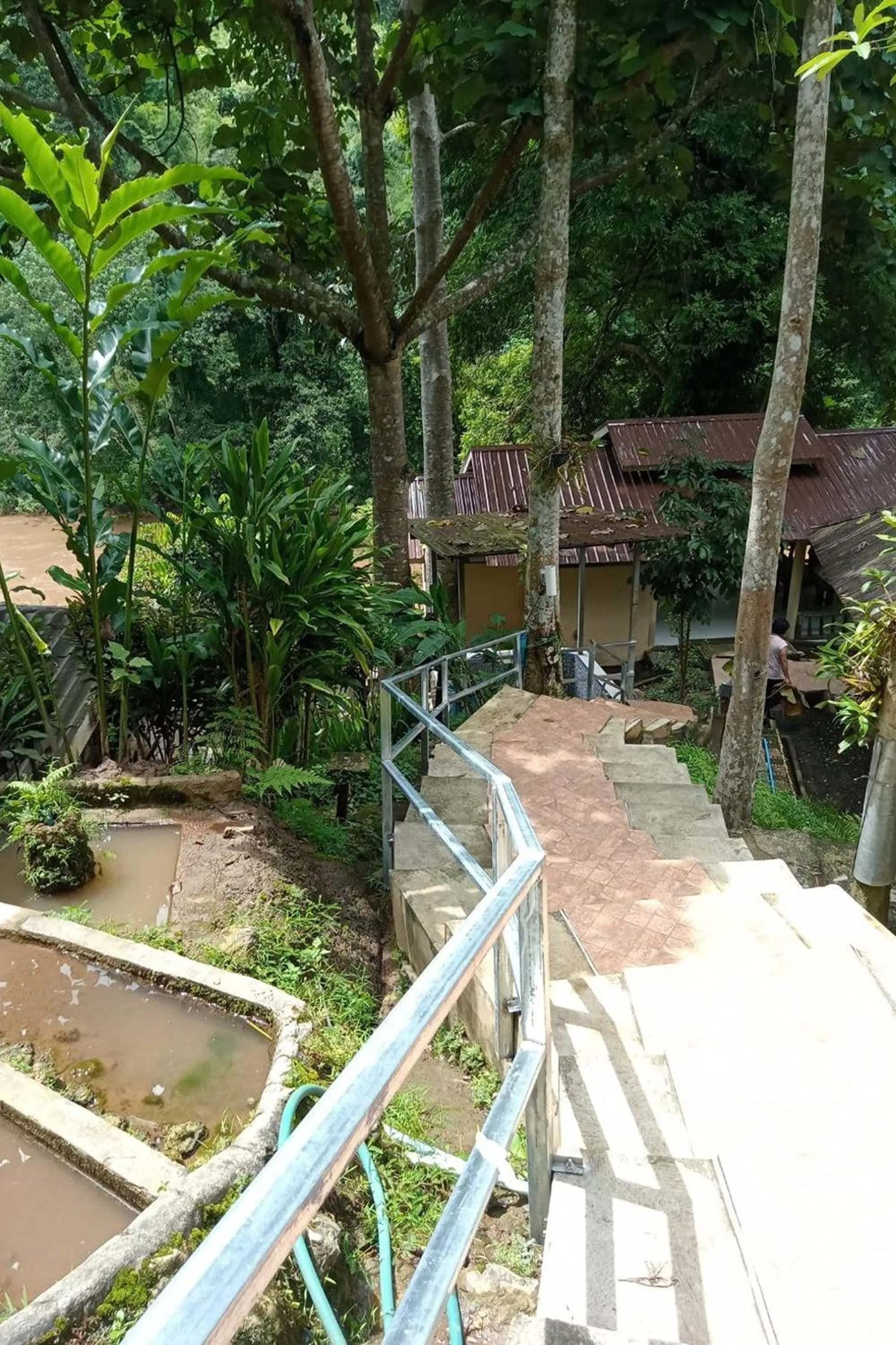 Garden in The Cascade - Mae Taeng Waterfall Bungalows