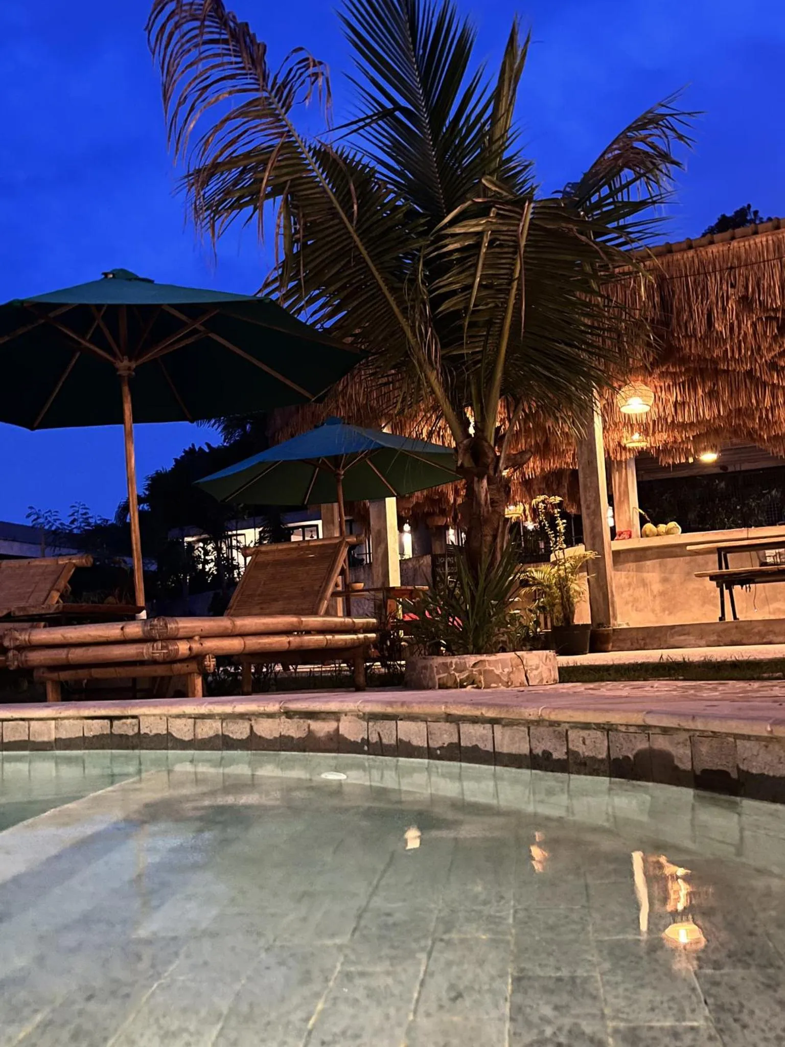 Night in Palmhouse Boutique Hotel