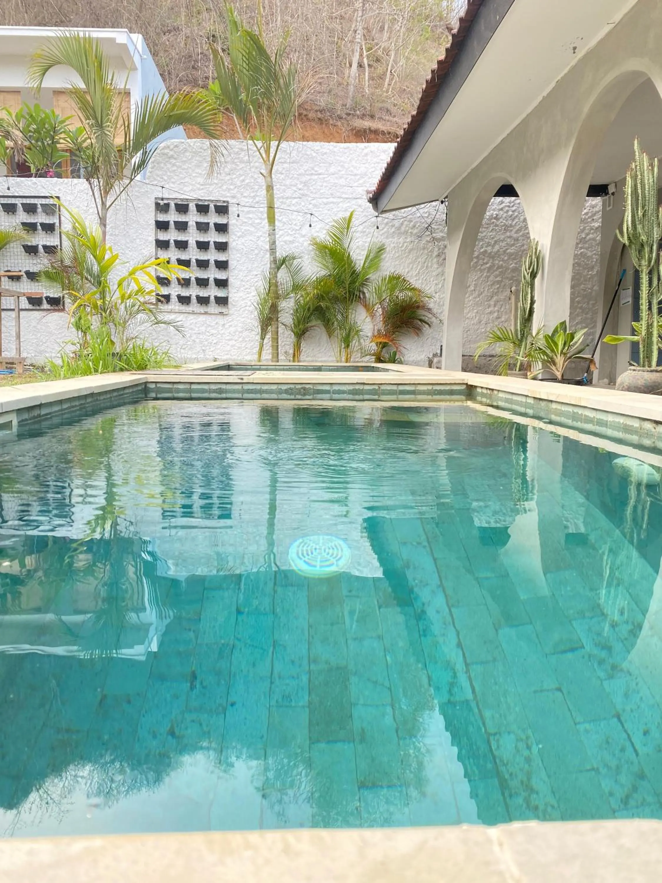 Pool view in Palmhouse Boutique Hotel