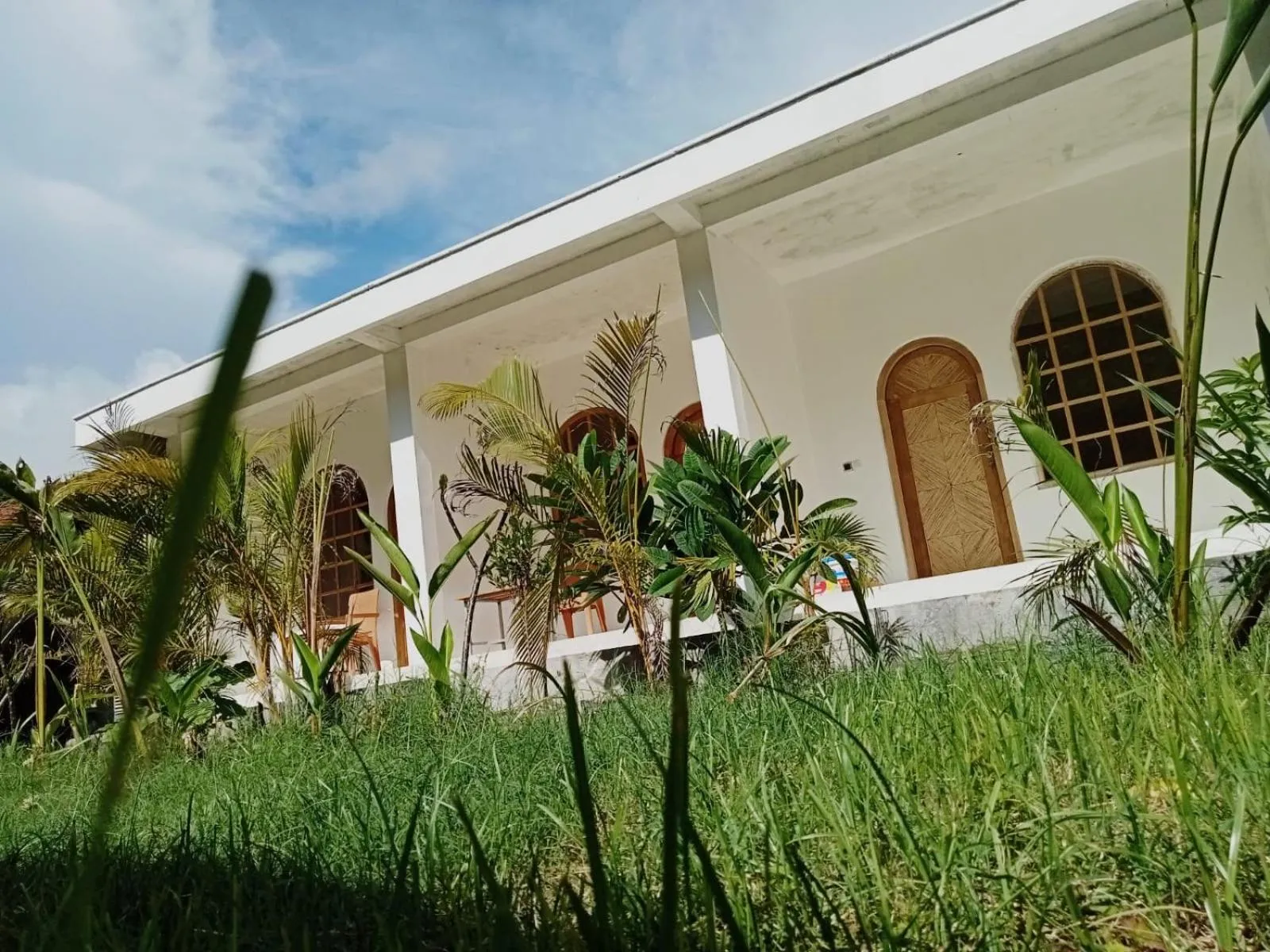 Garden in Palmhouse Boutique Hotel
