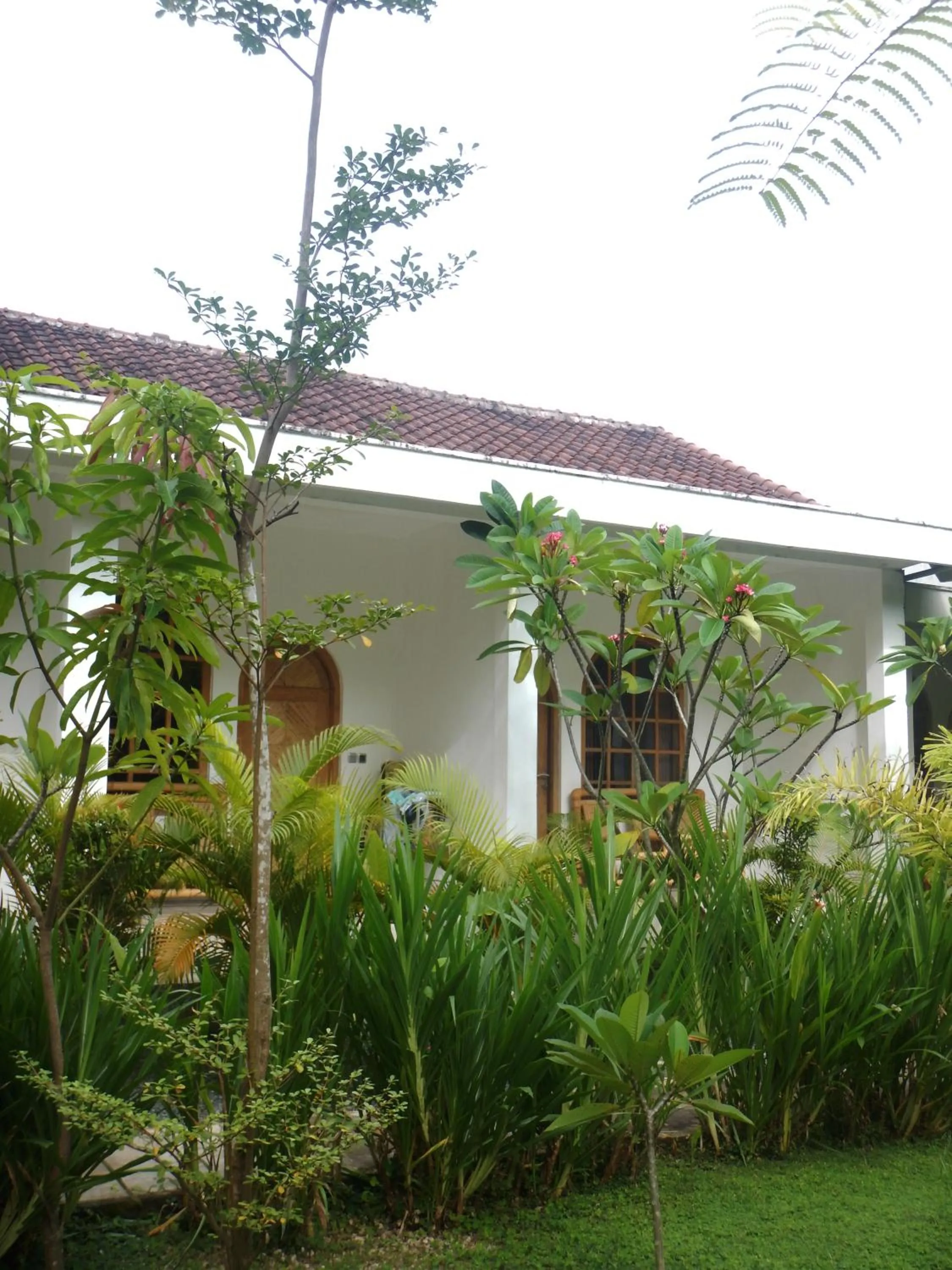 Patio in Palmhouse Boutique Hotel
