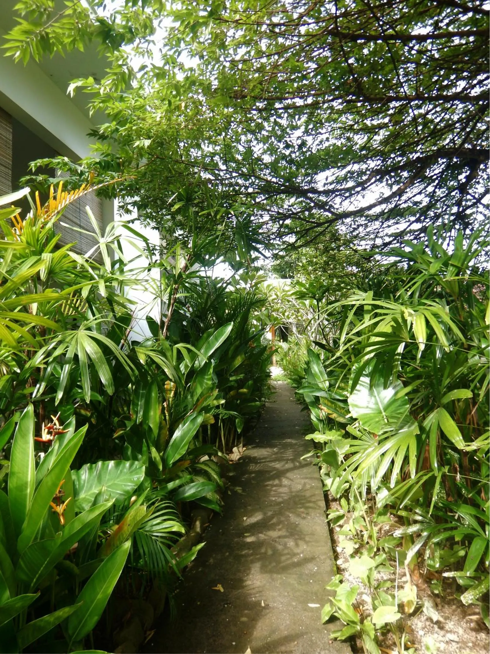 Palmhouse Boutique Hotel