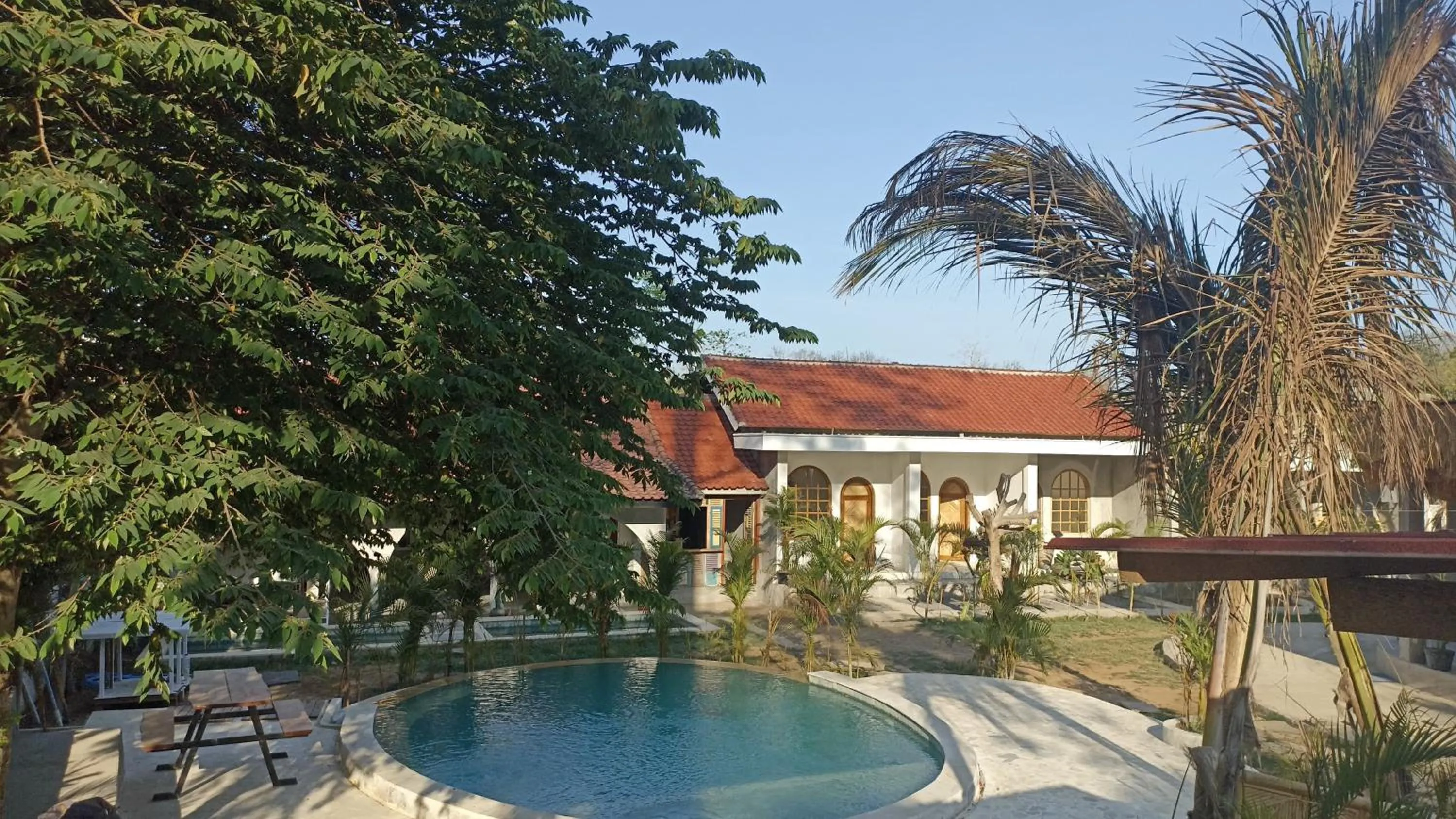 Garden view in Palmhouse Boutique Hotel