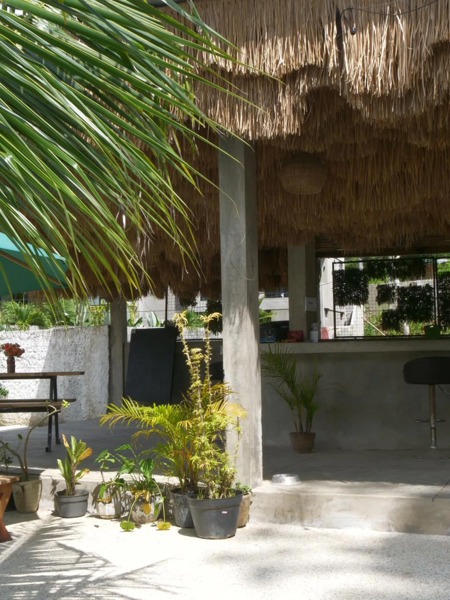 Day in Palmhouse Boutique Hotel