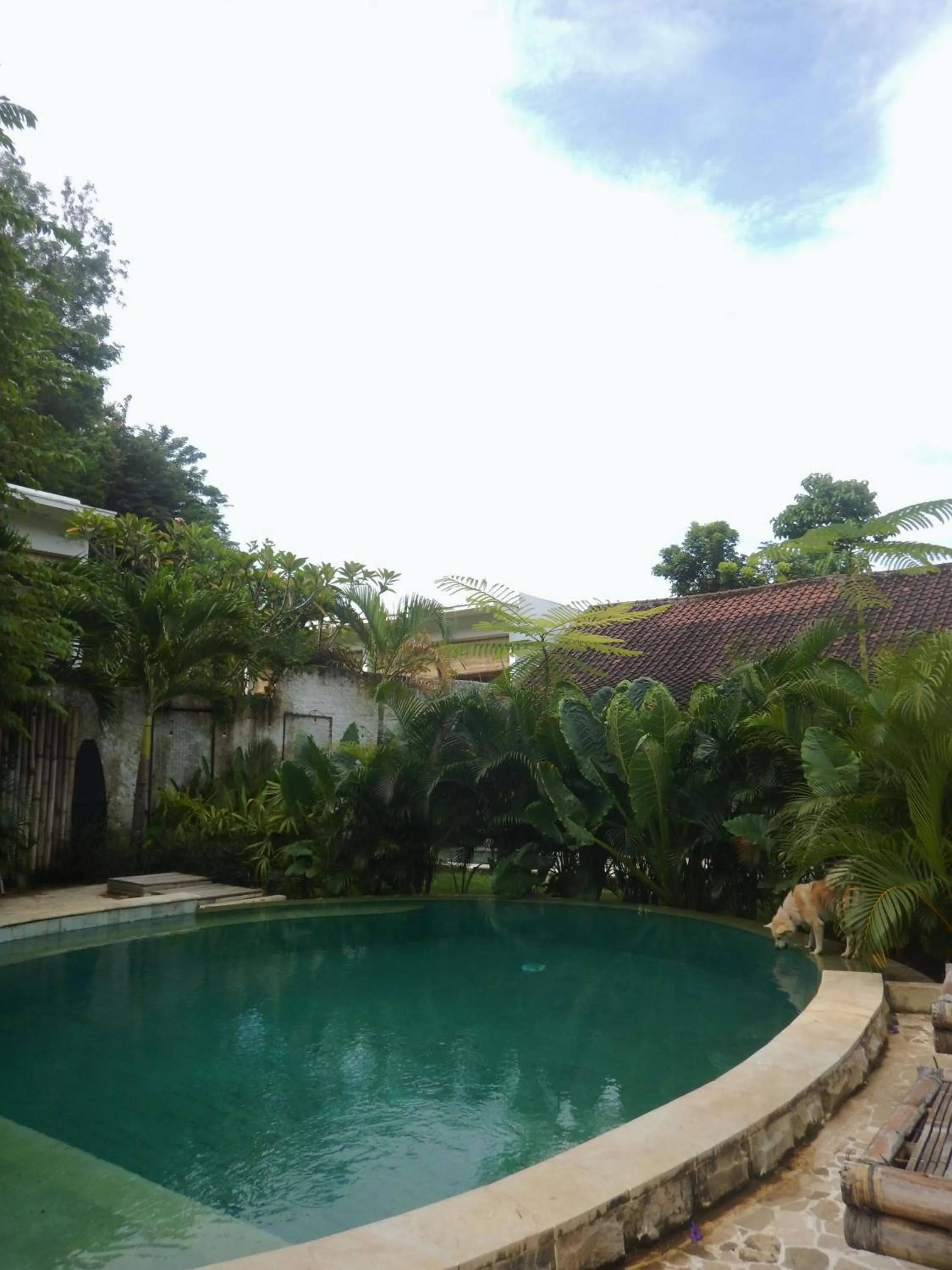Garden view in Palmhouse Boutique Hotel