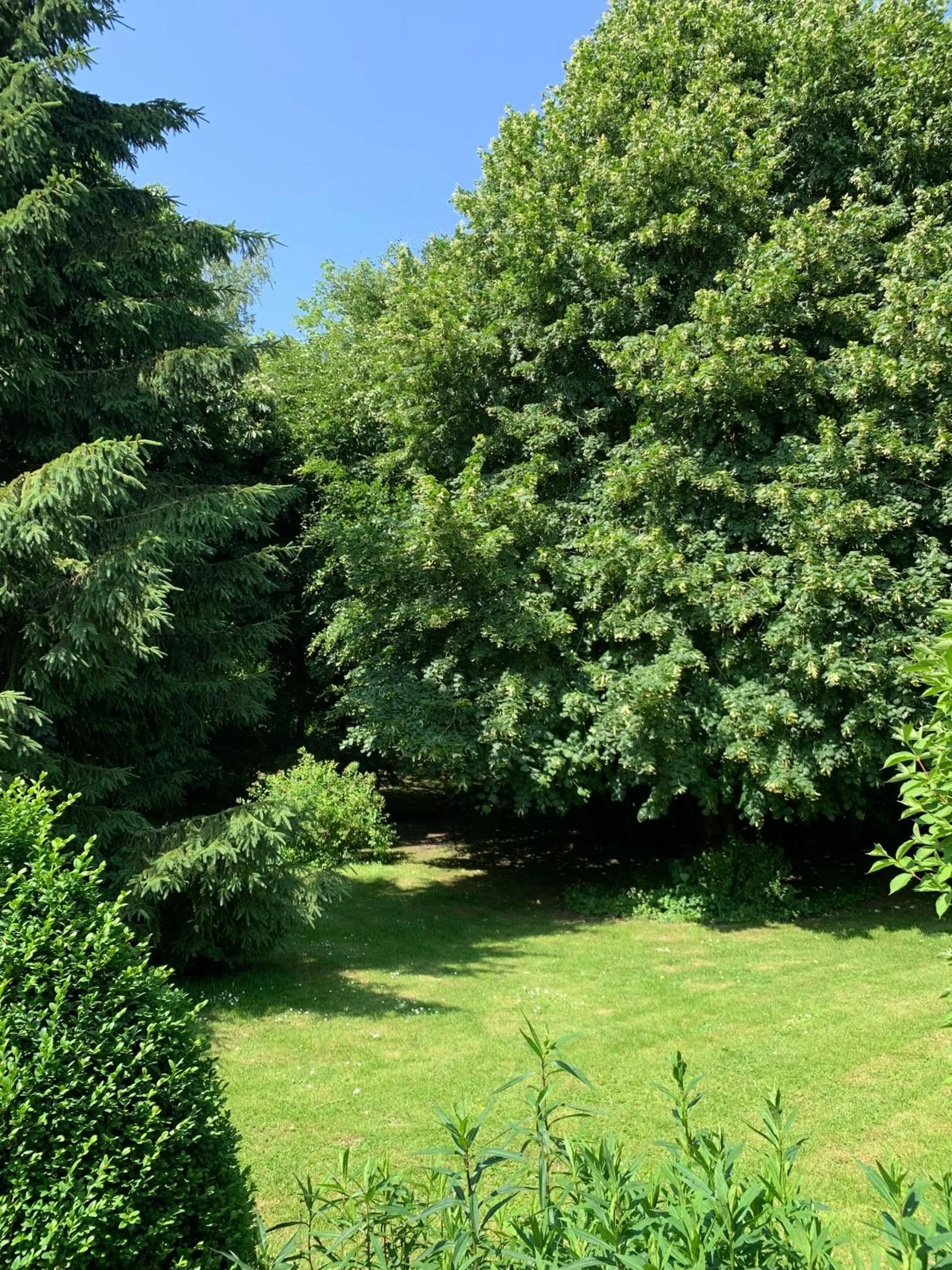 Garden in La Ferme des Templiers de Fléchinelle