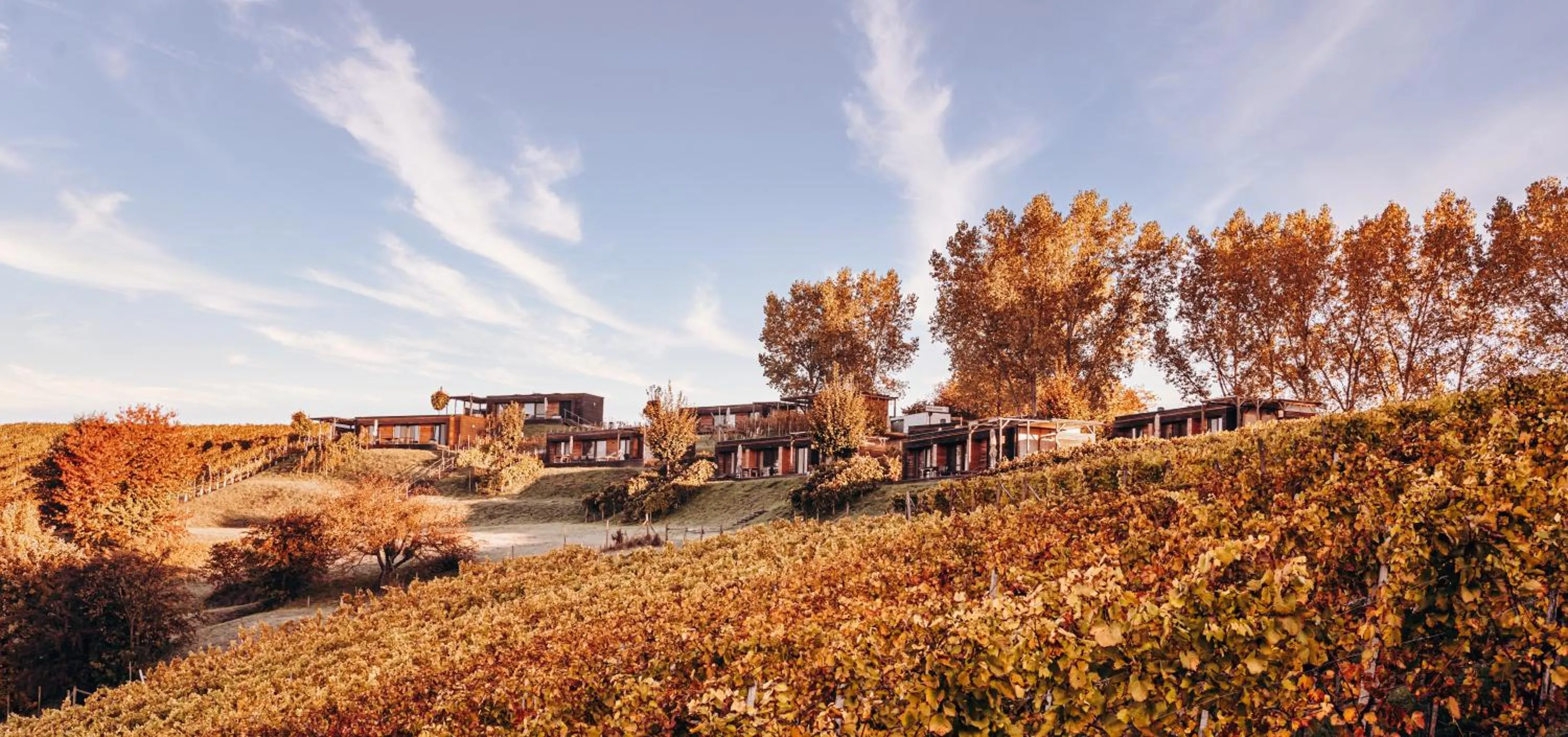 Property building in Weingarten-Resort Unterlamm Loipersdorf - ADULTS ONLY