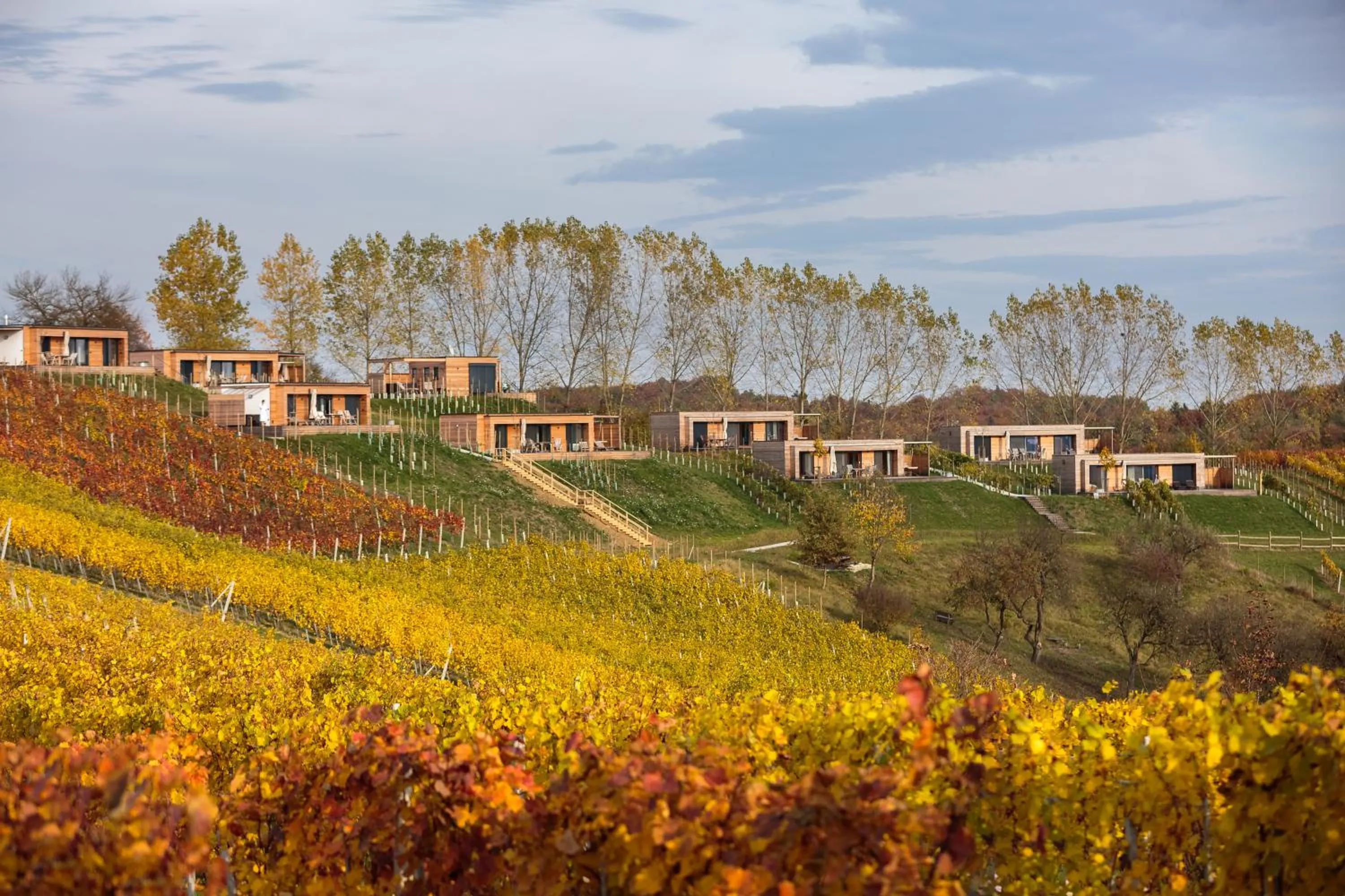 Natural landscape in Weingarten-Resort Unterlamm Loipersdorf - ADULTS ONLY