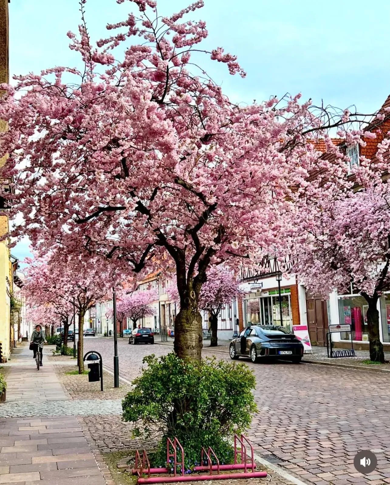 City view in Hotel Doko Gardelegen