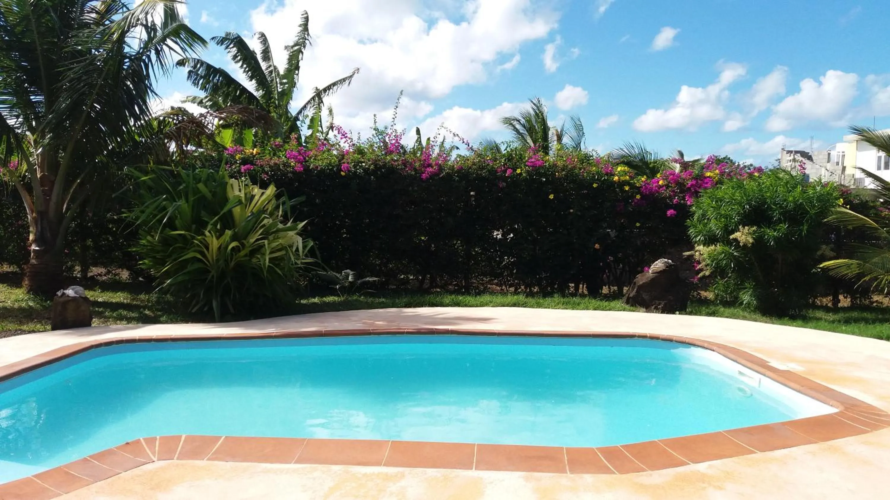 Garden in La Maison Soleil