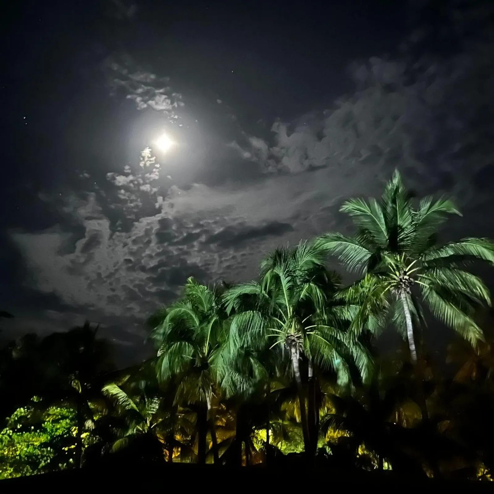 Natural landscape in El Reinas by Sugar's Monkey