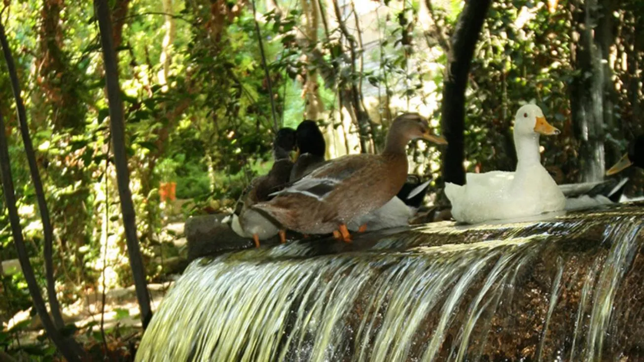 Natural landscape in Selale Cennet Evleri