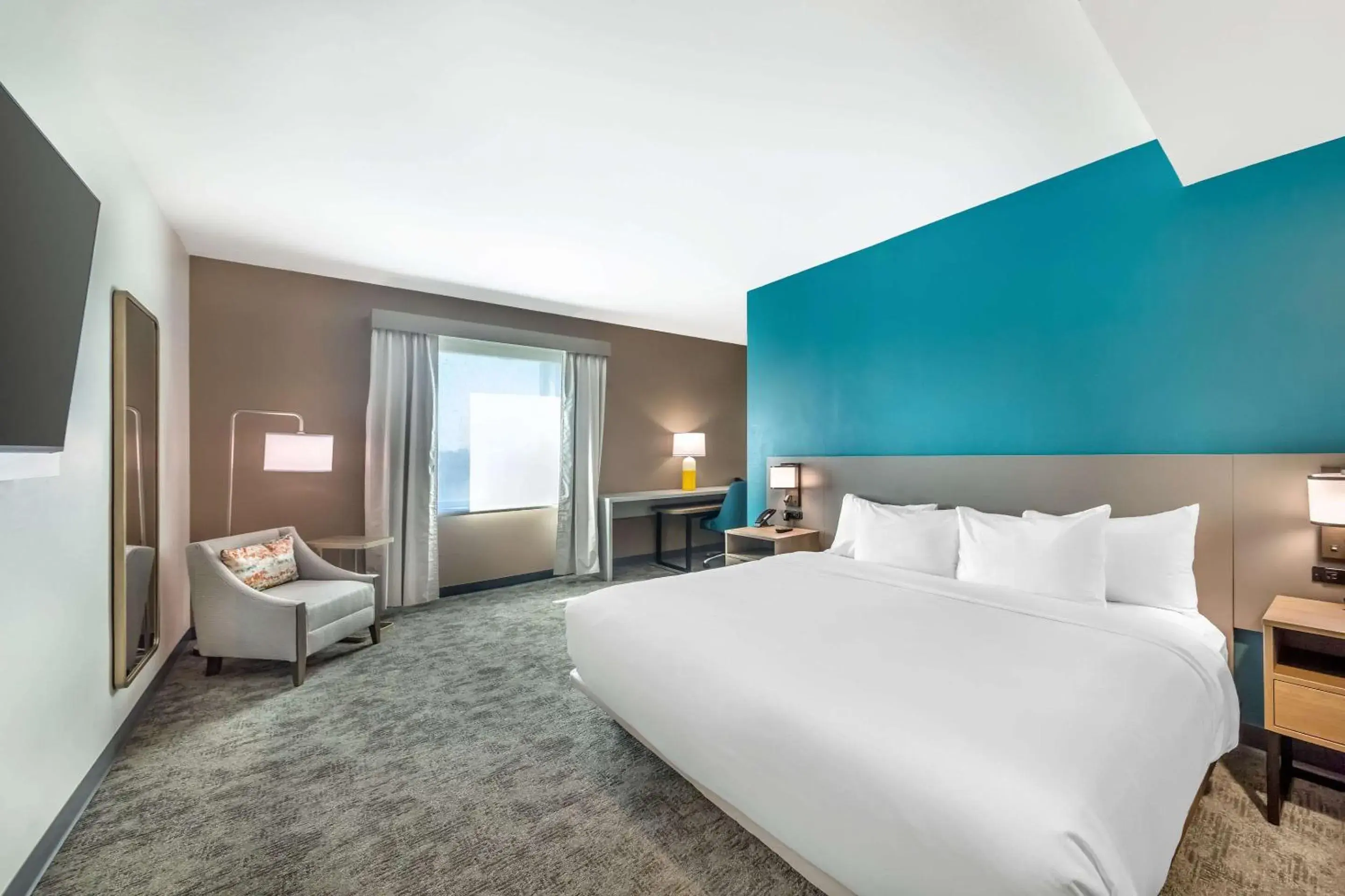 One Room Suite with Sofa bed - Disability Access/Non Smoking in Comfort Suites Fort Myers East I-75 One Room Suite with Sofa bed - Disability Access/Non Smoking in Comfort Suites Fort Myers East I-75