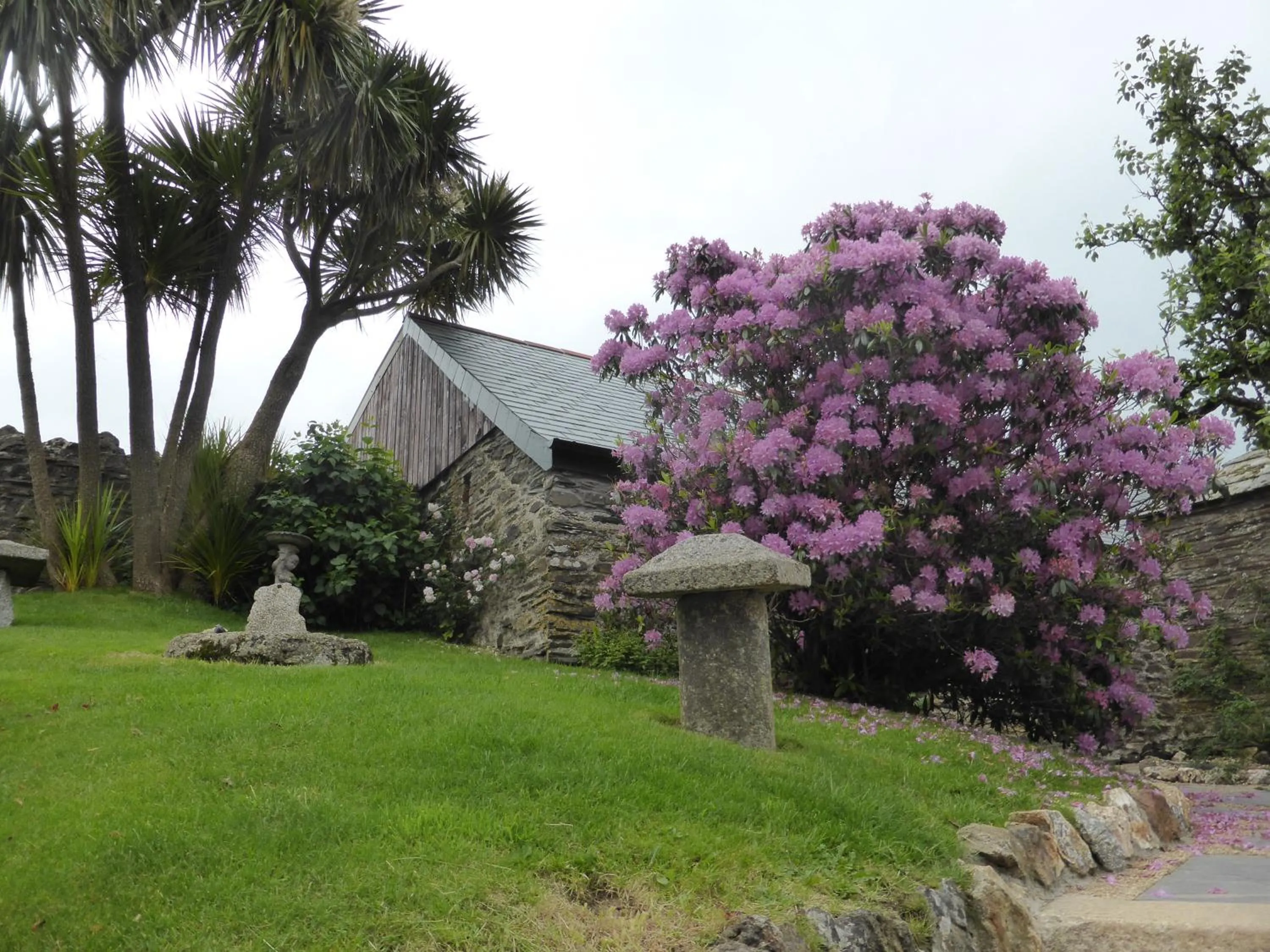 Garden in Tregondale Manor Farm