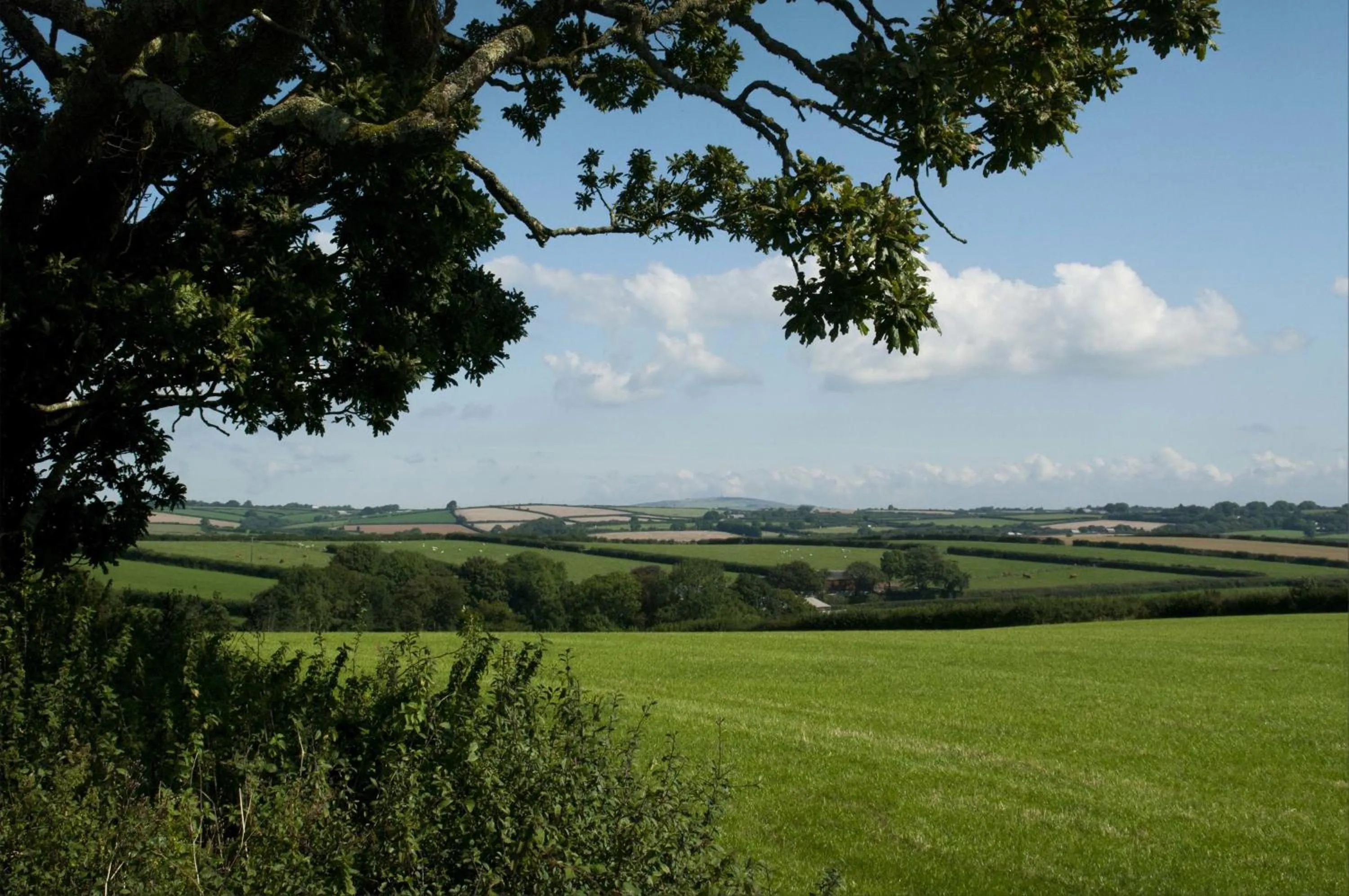 View (from property/room) in Tregondale Manor Farm