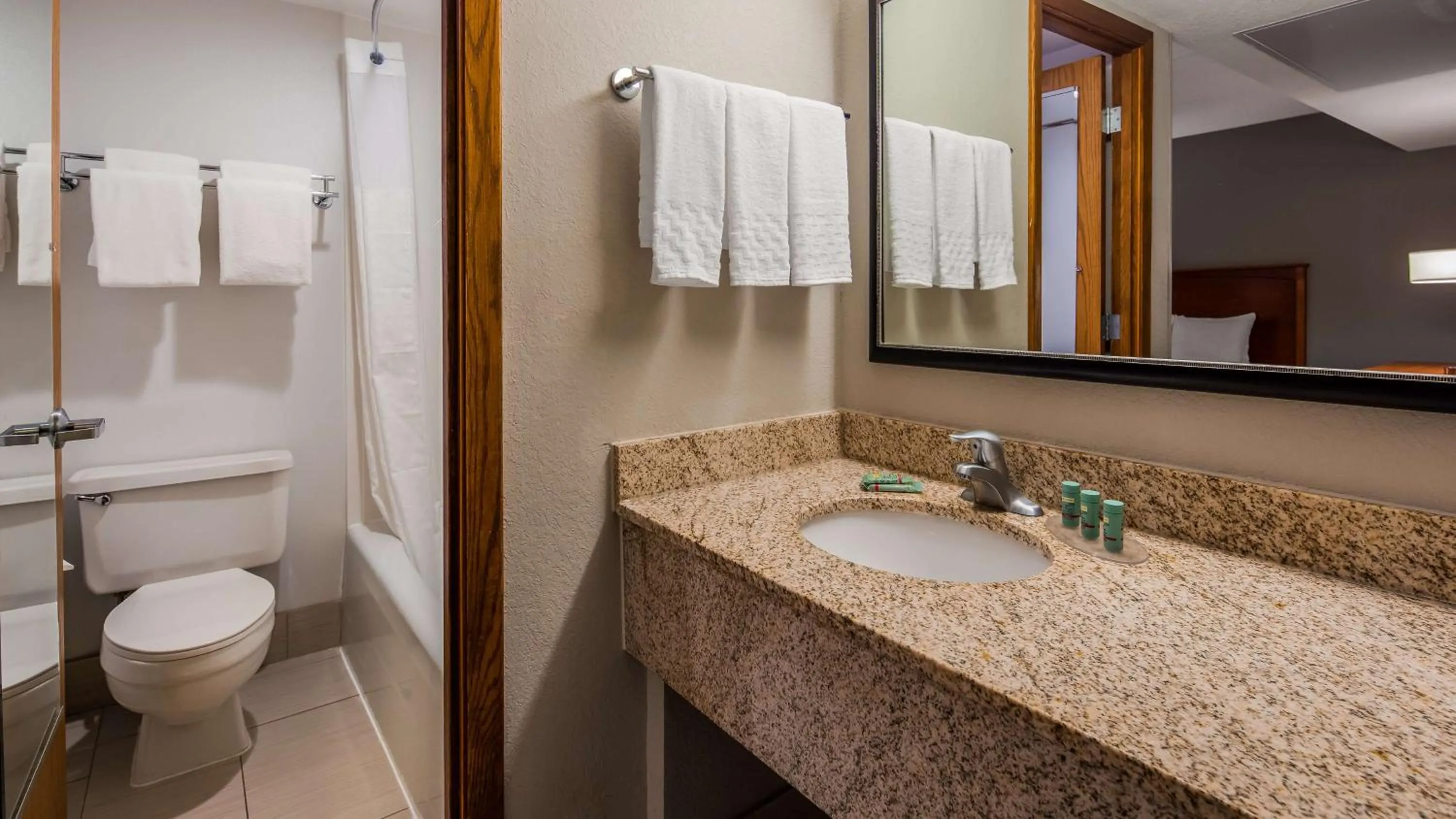 Bathroom in Best Western Bridgeview Hotel
