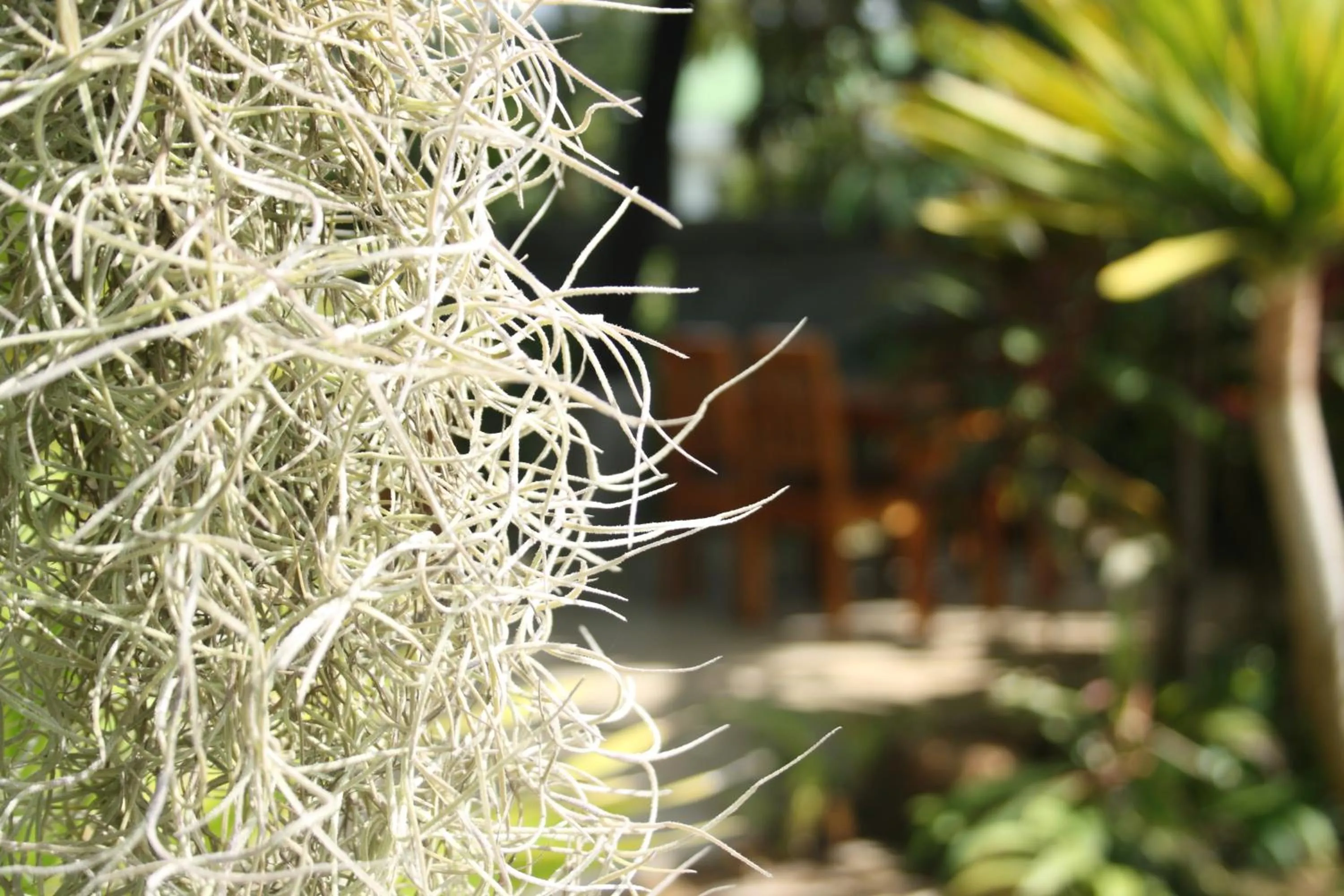 Area and facilities in Bida Daree Resort