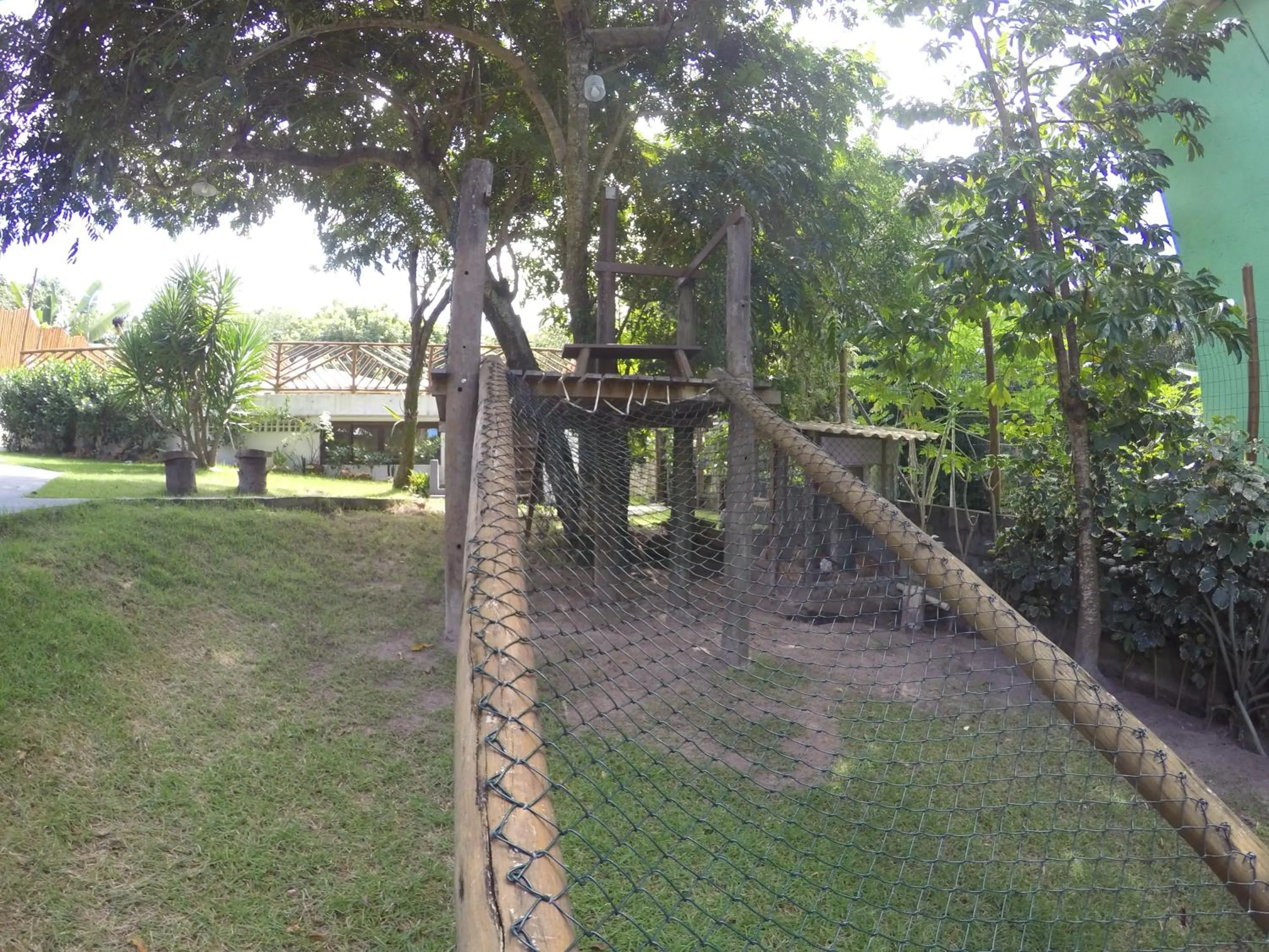 Activities in Pousada da Preguiça Praia do Forte