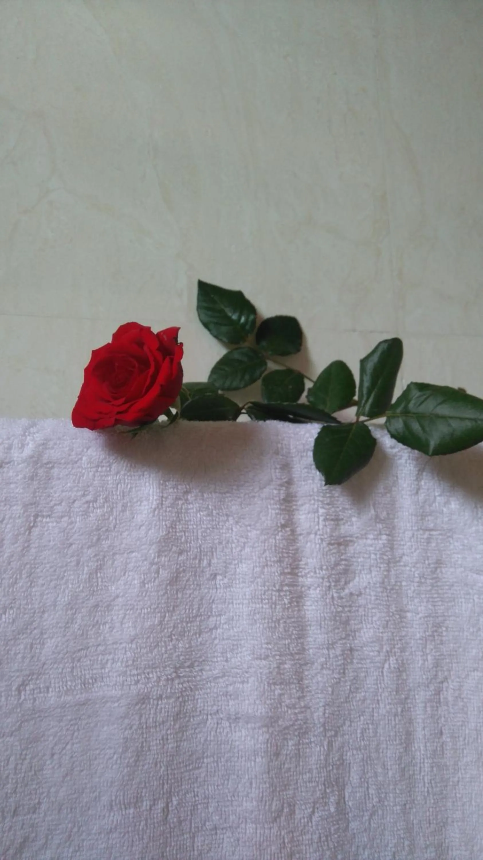 Bathroom in Green CoCo HomeStay