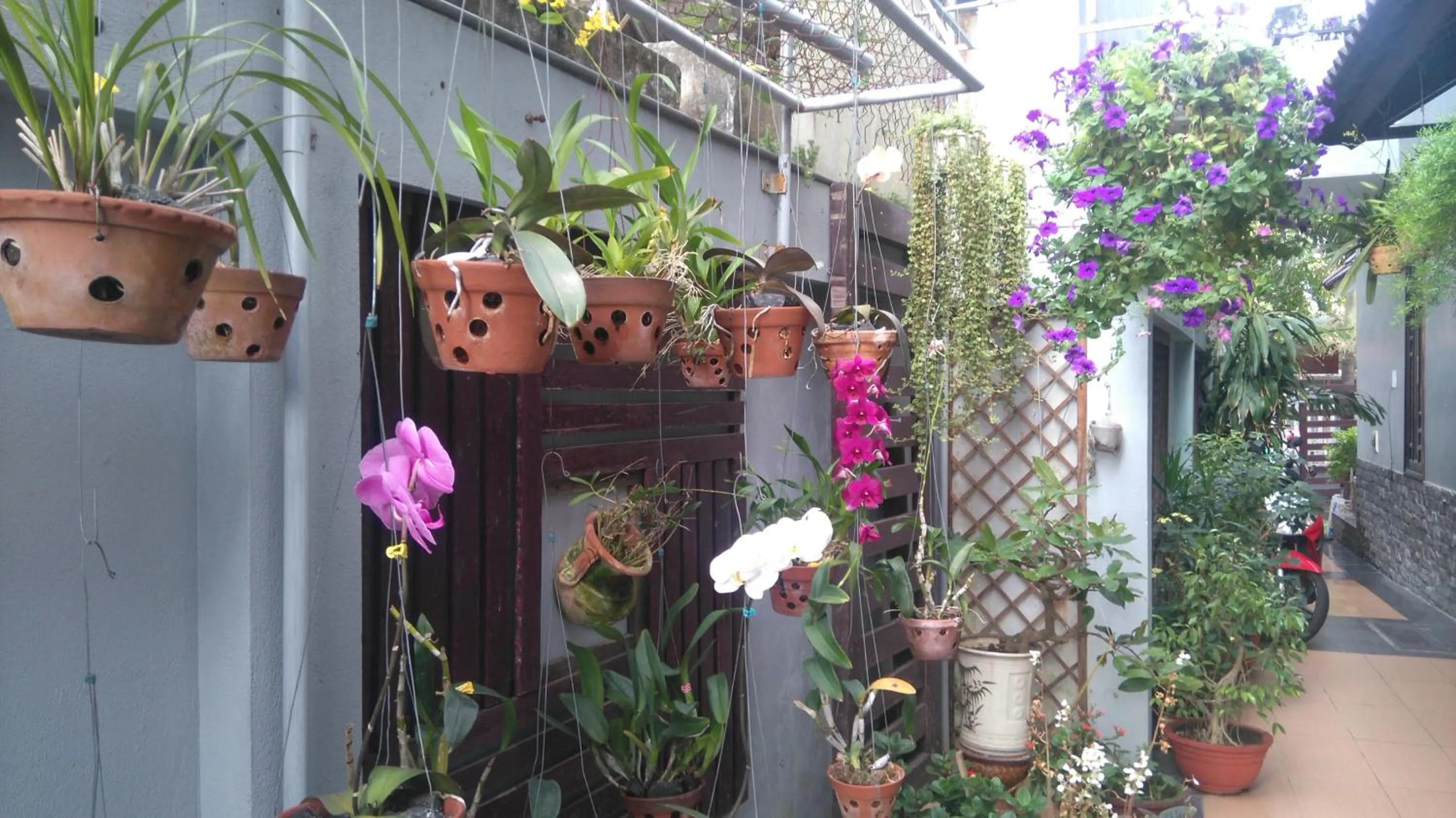 Decorative detail in Green CoCo HomeStay