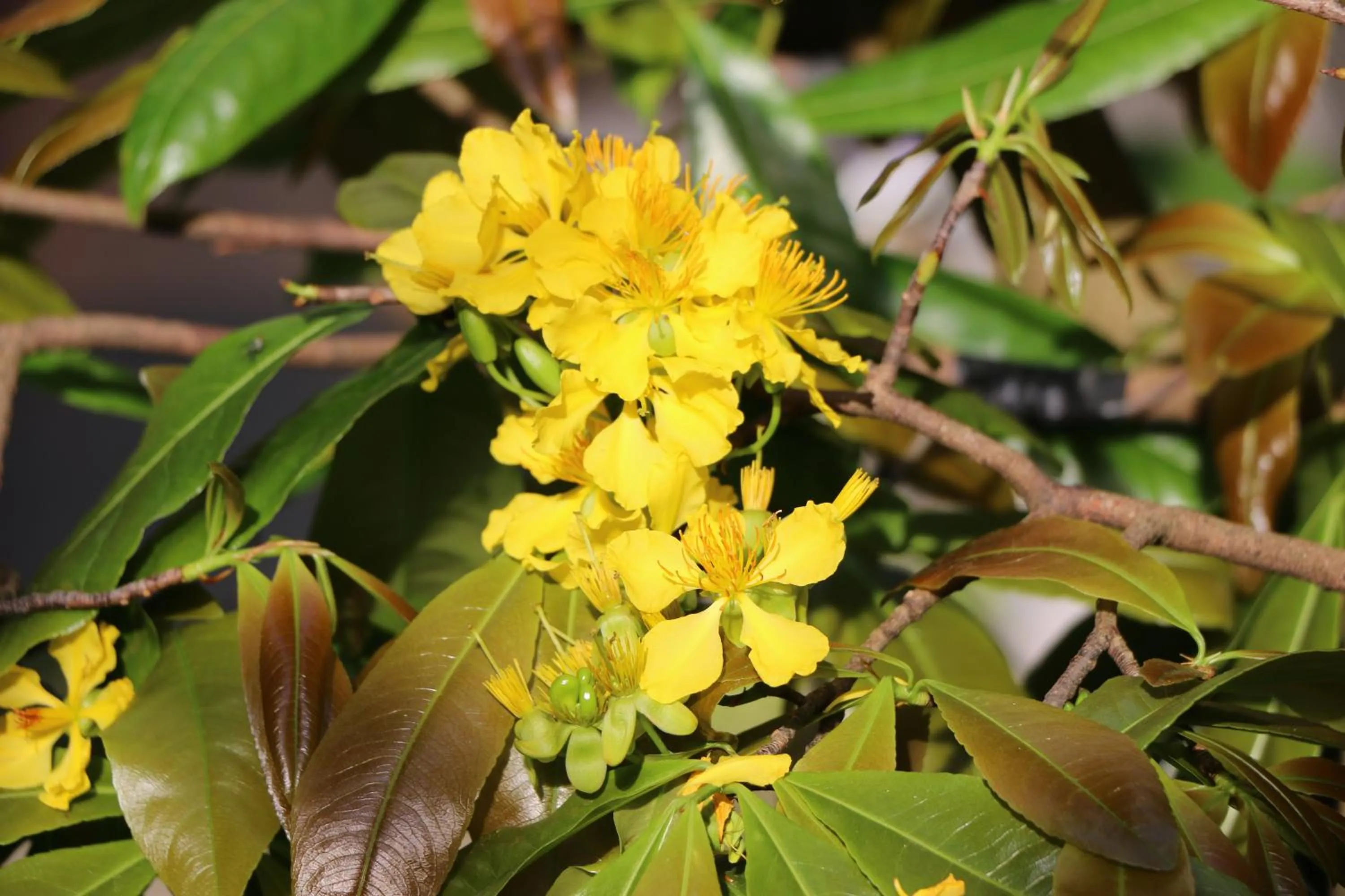 Neighbourhood in Green CoCo HomeStay