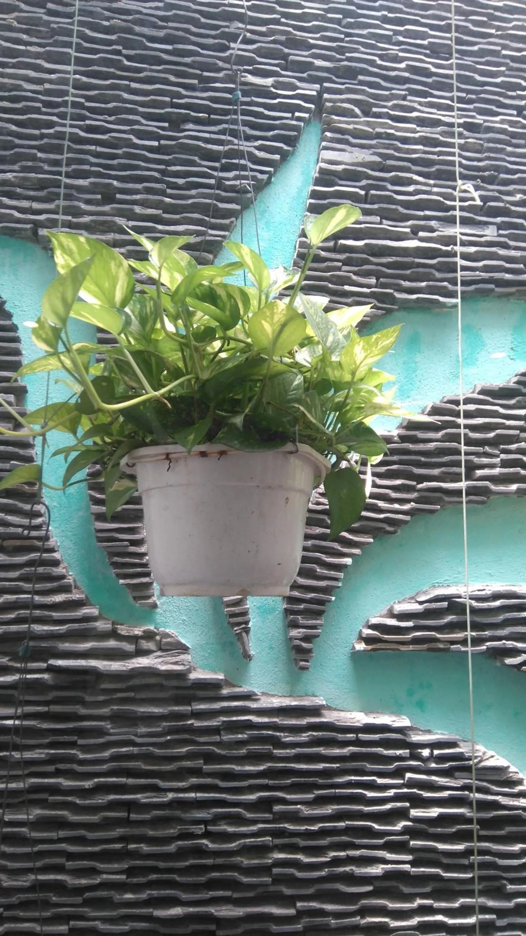 Decorative detail in Green CoCo HomeStay