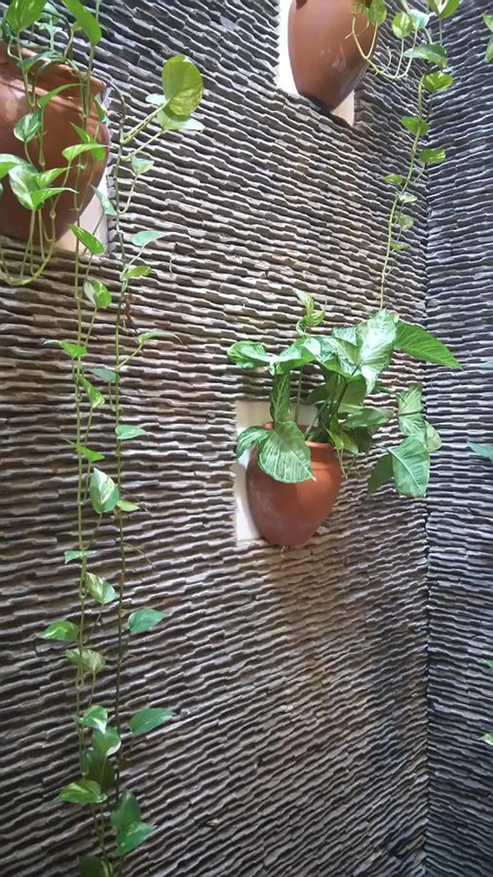 Decorative detail in Green CoCo HomeStay