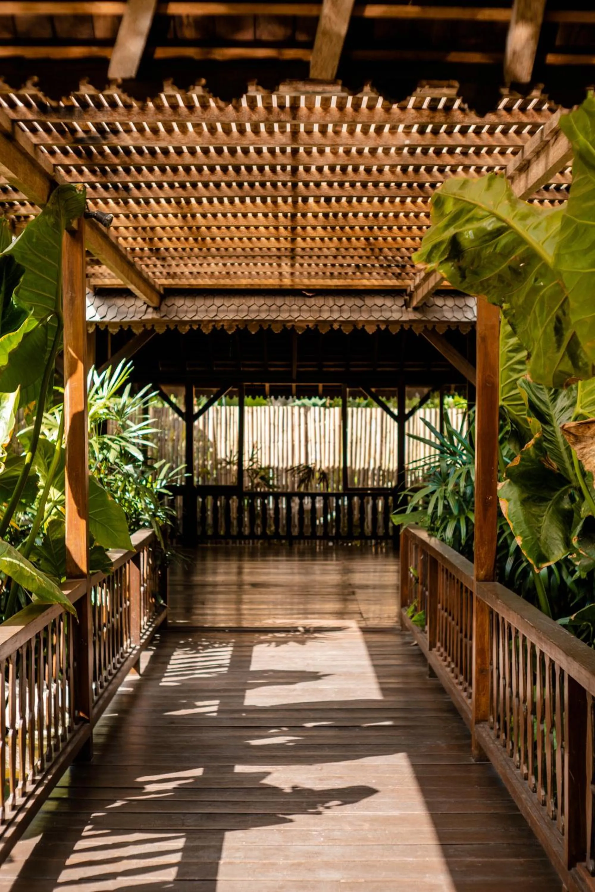 Garden in Kropak Canggu