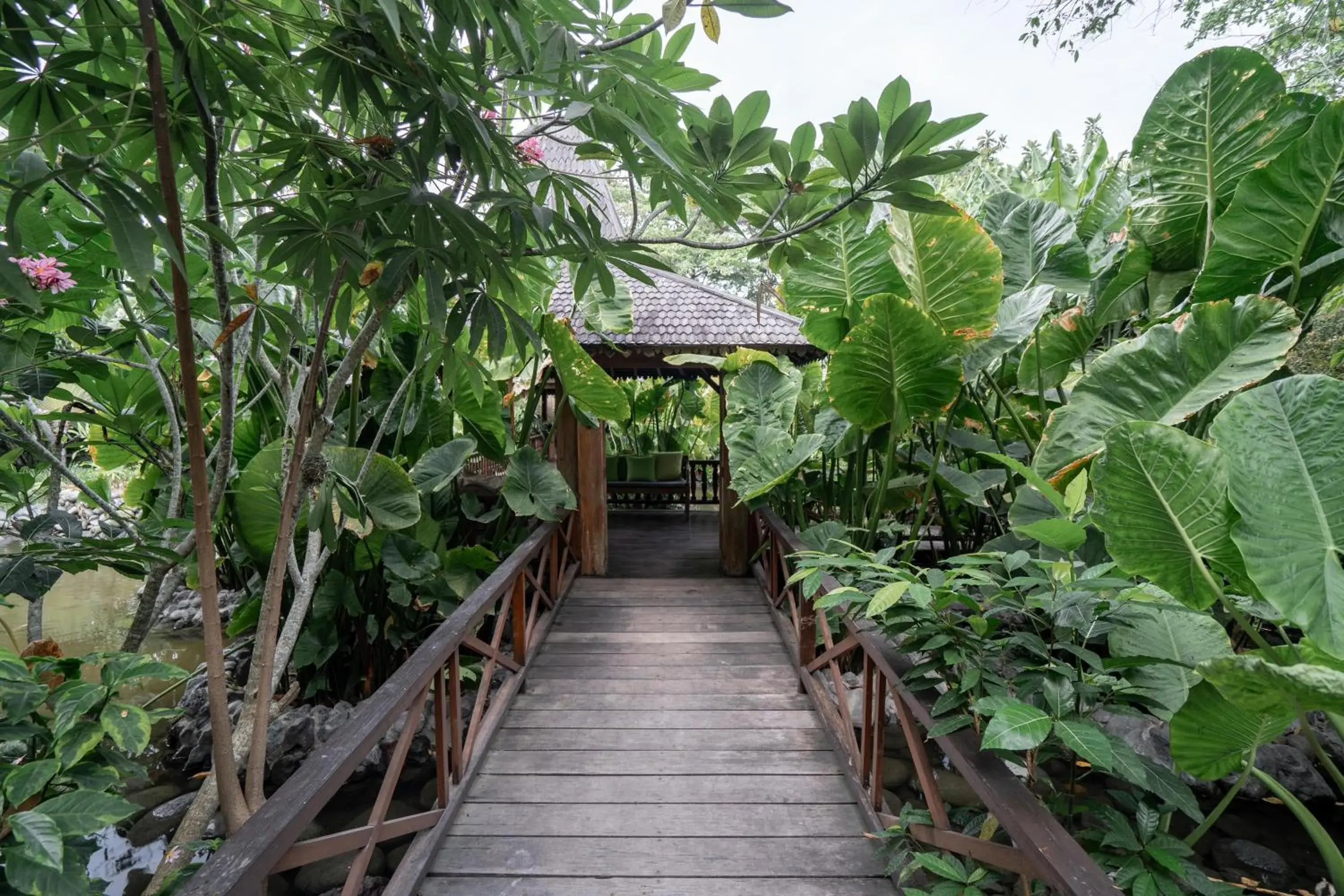 Kropak Canggu Kropak Canggu