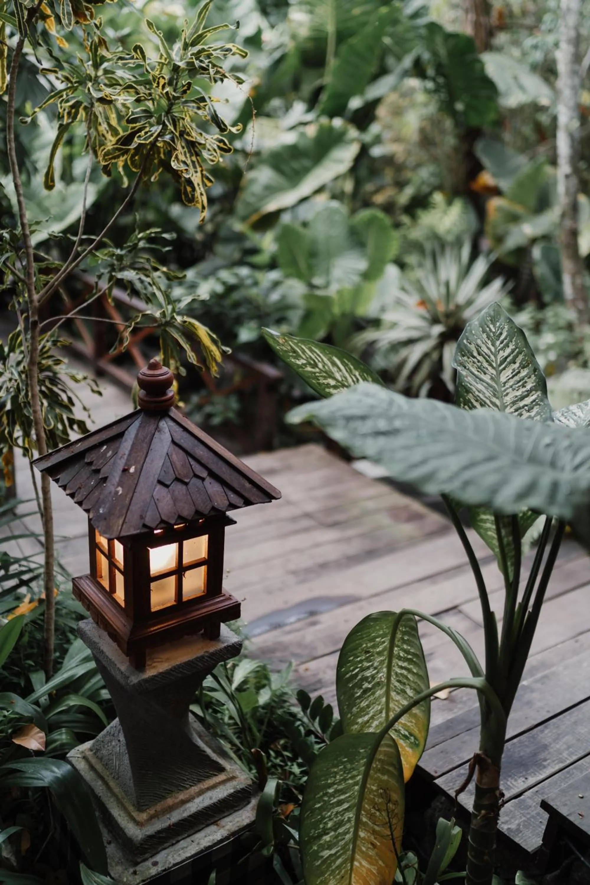 Garden in Kropak Canggu