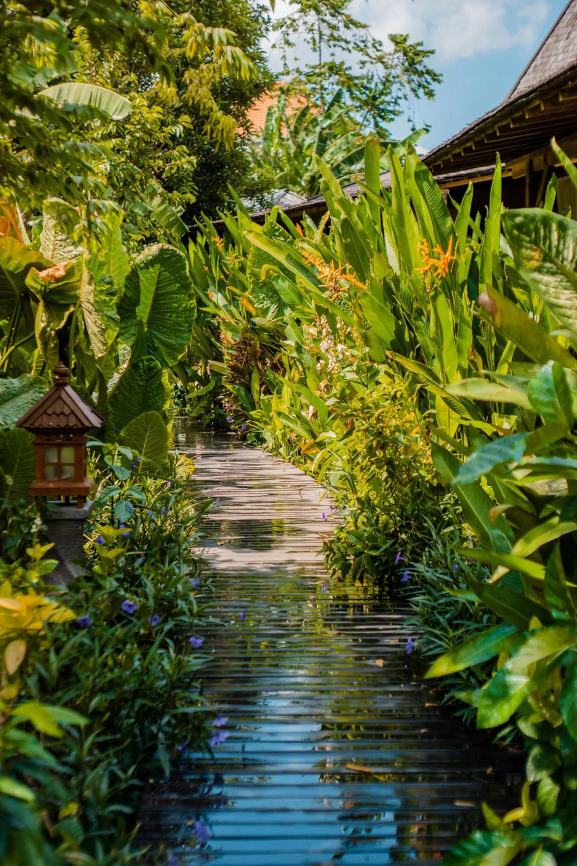 Garden in Kropak Canggu
