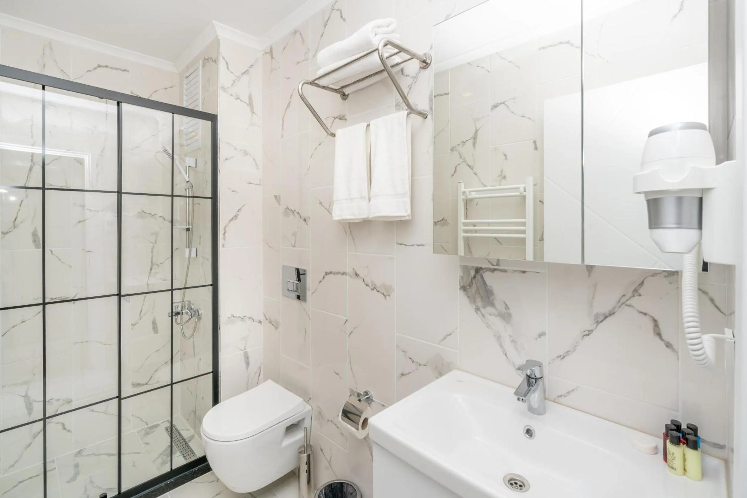 Shower in Guest Suites