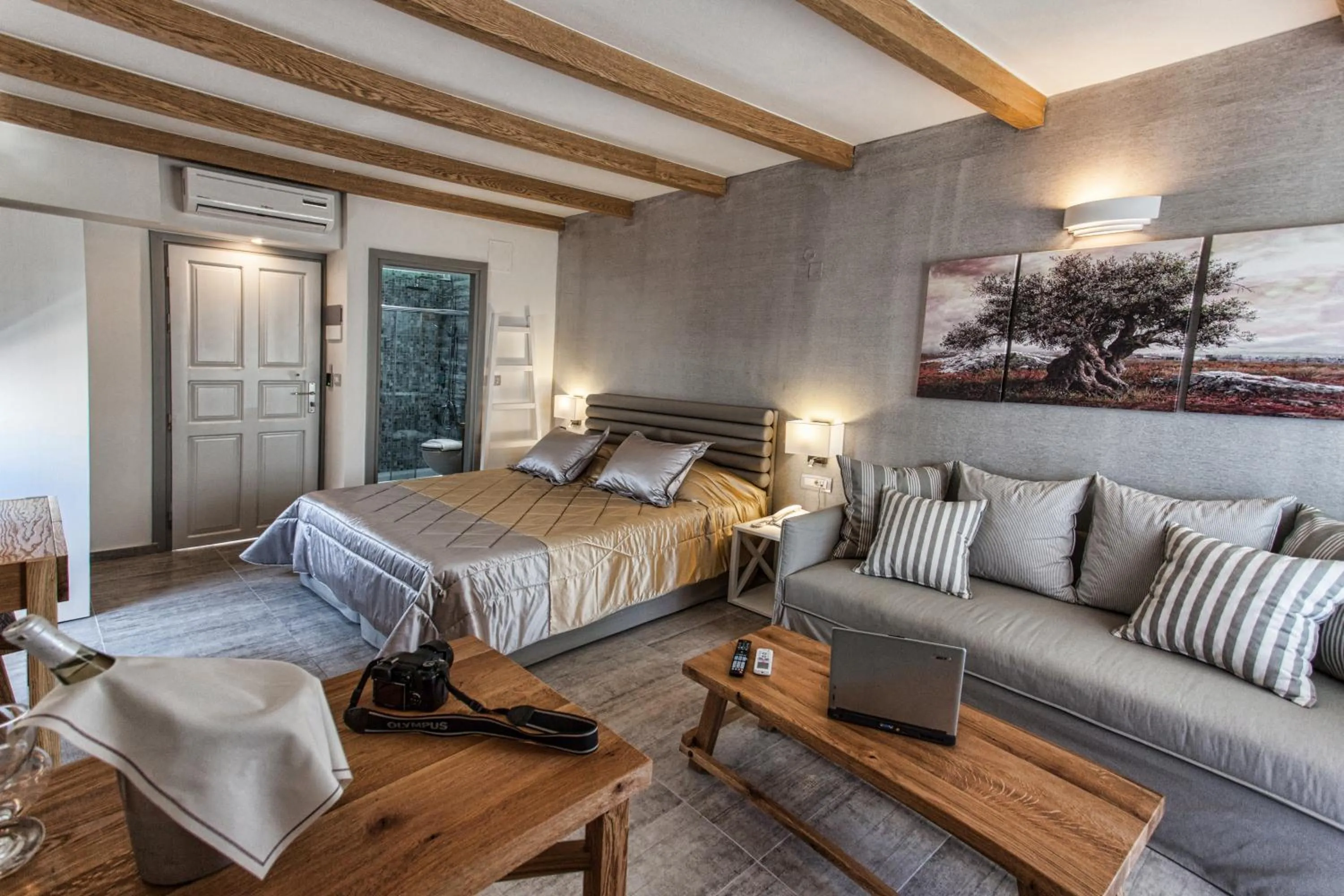 Living room, Bed in Omiros Boutique Hotel (Adults Only)