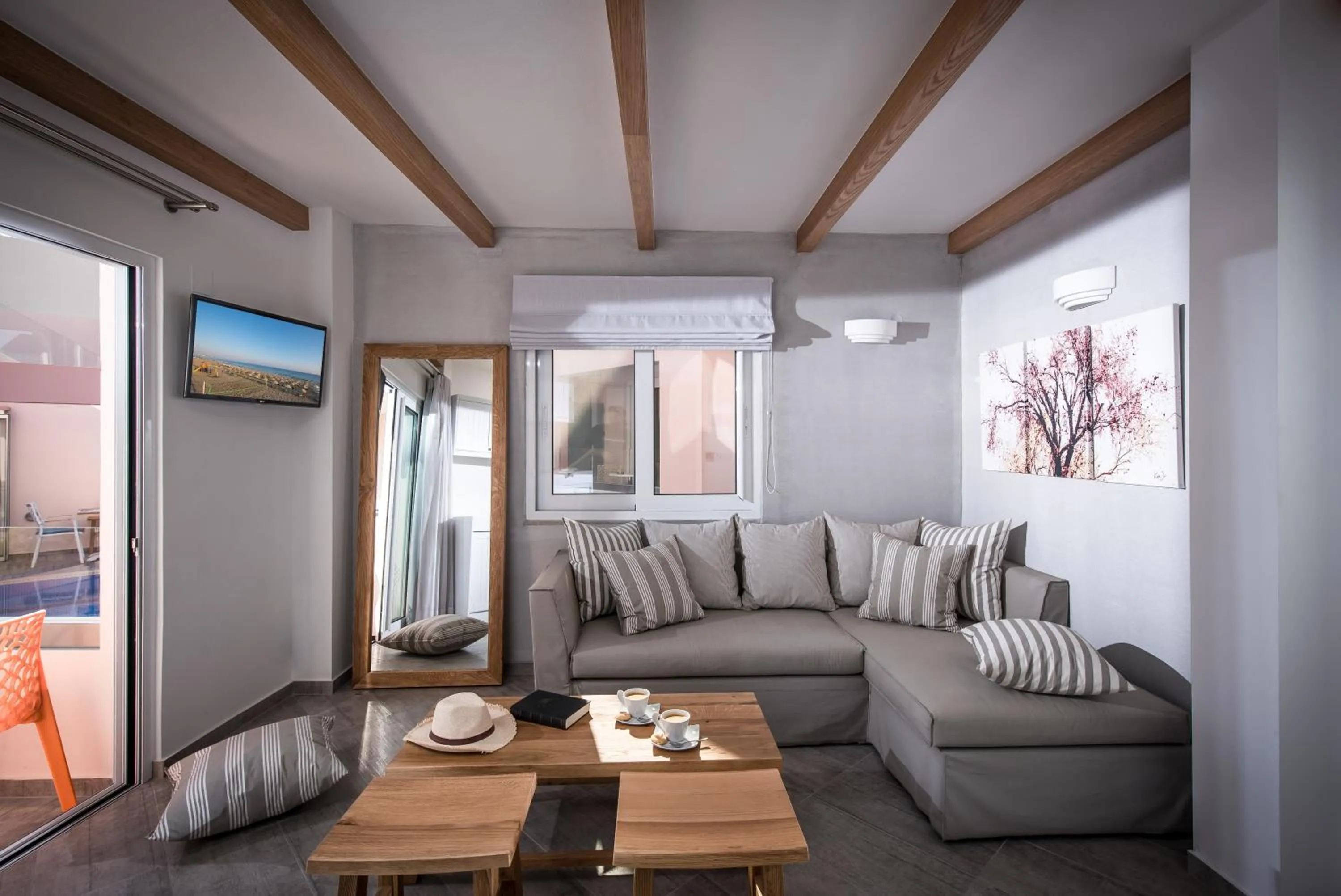 TV and multimedia in Omiros Boutique Hotel (Adults Only)