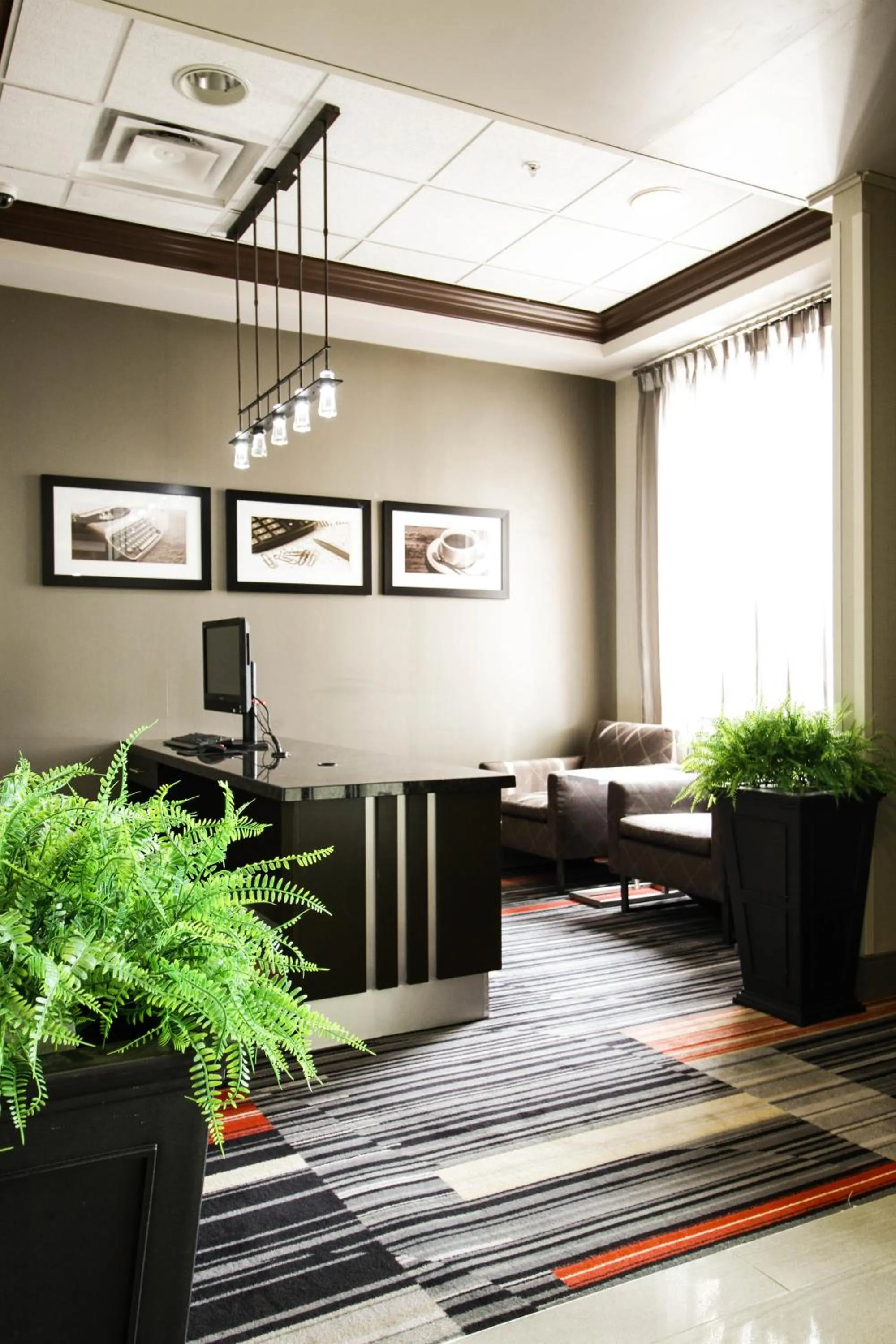 Waterloo Suites Hotel