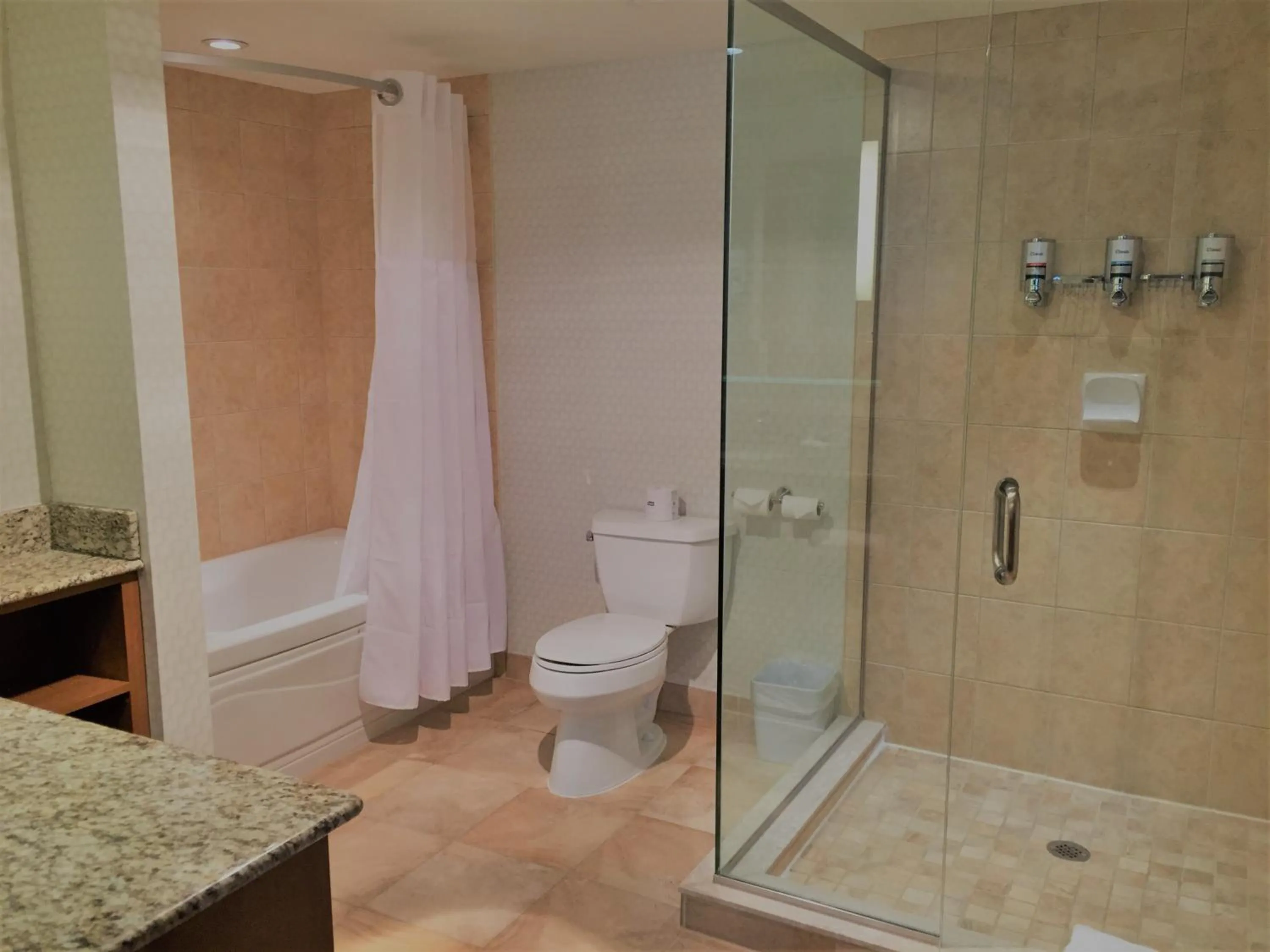 Waterloo Suites Hotel