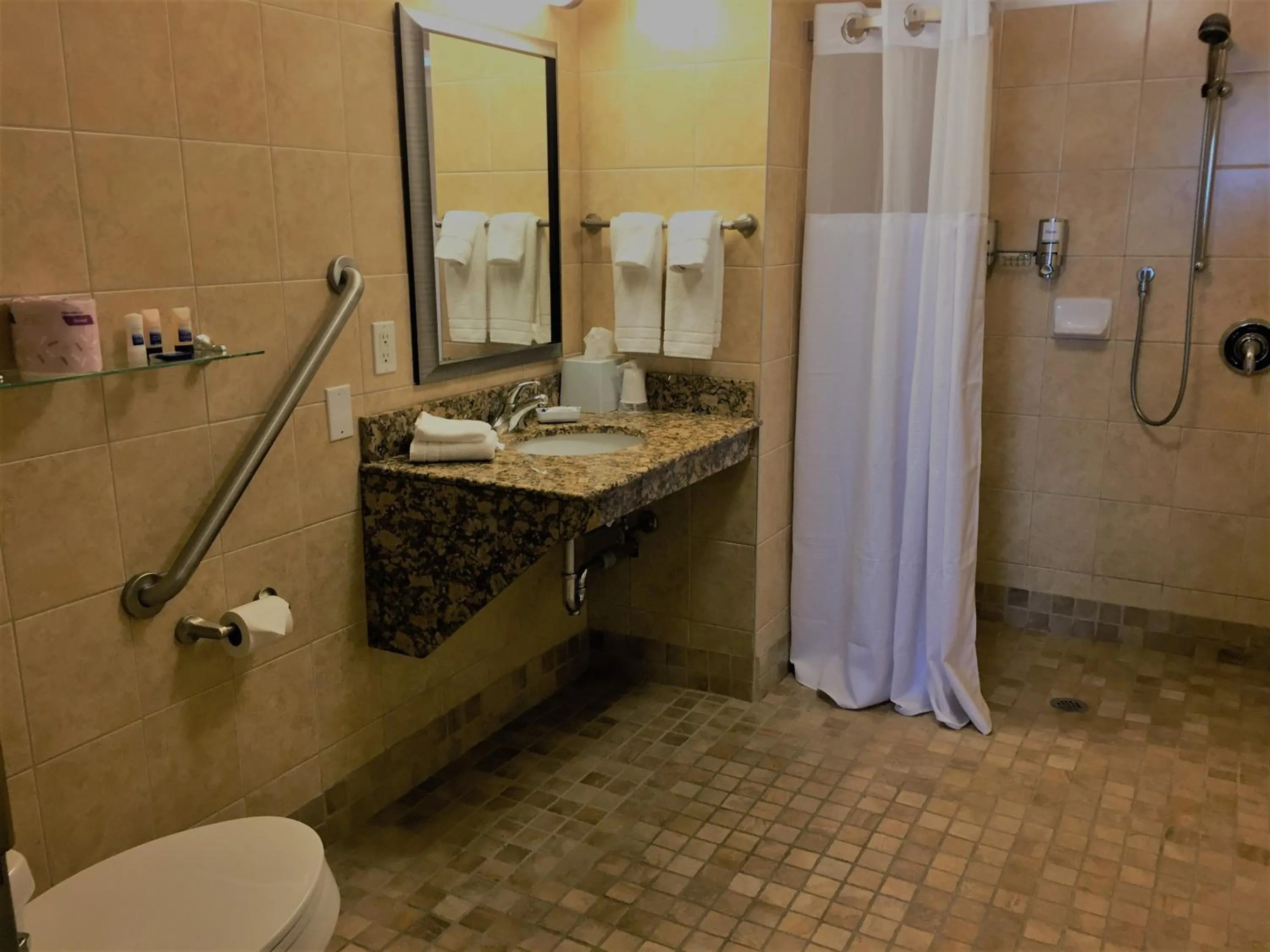 Waterloo Suites Hotel