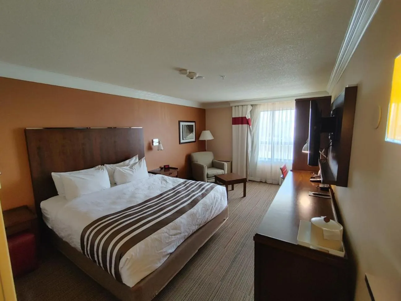 Waterloo Suites Hotel