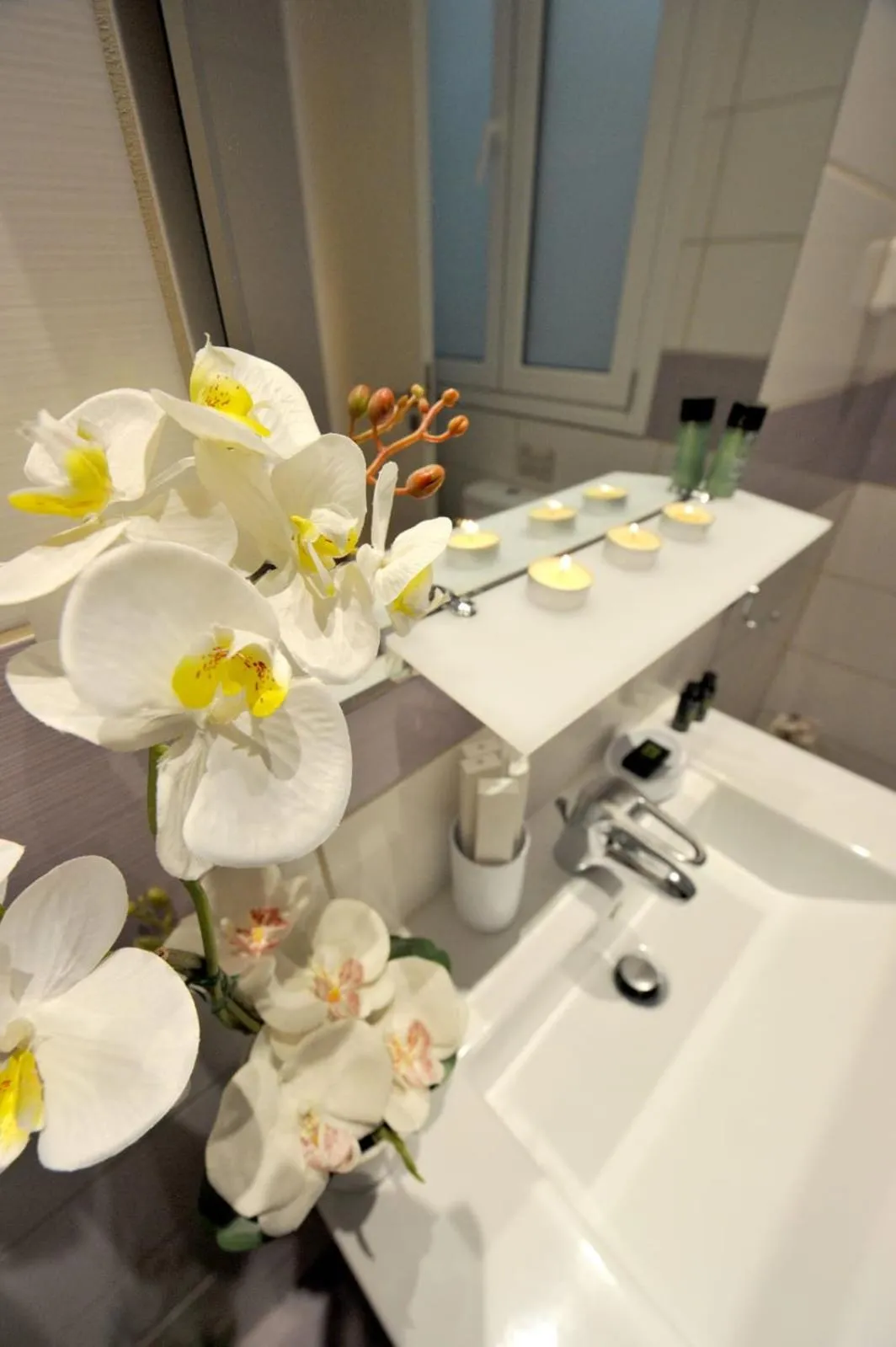 Toilet in My Athens House