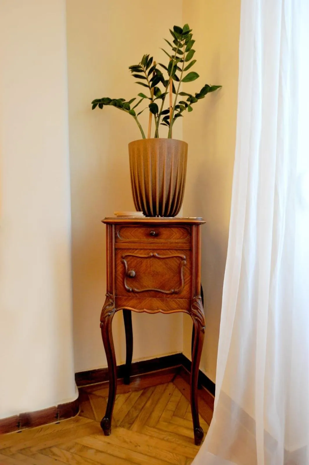 Squash in My Athens House