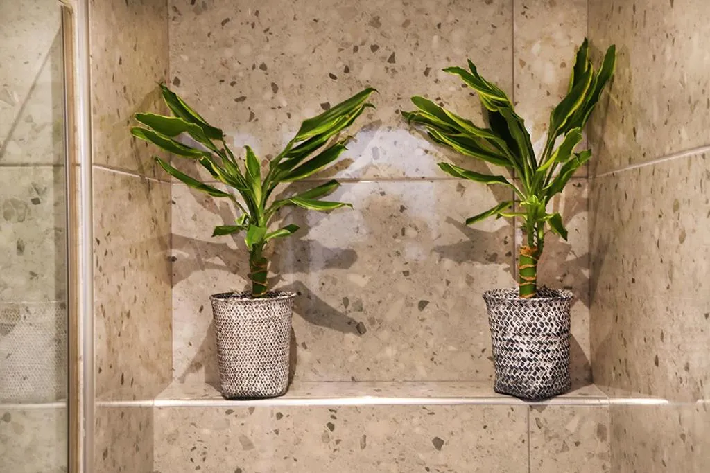 Bathroom in My Athens House