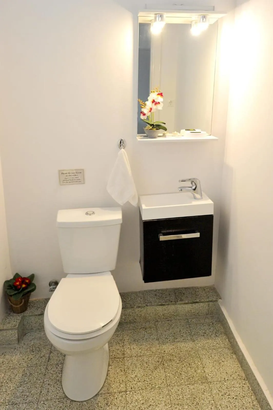 Toilet in My Athens House