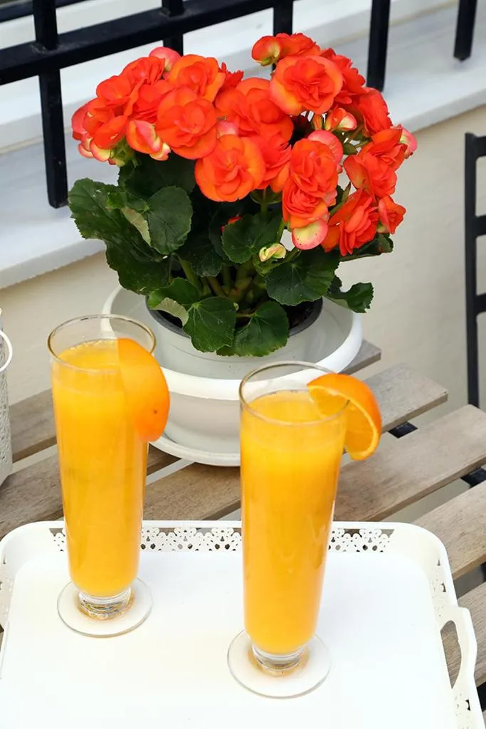 Decorative detail in My Athens House