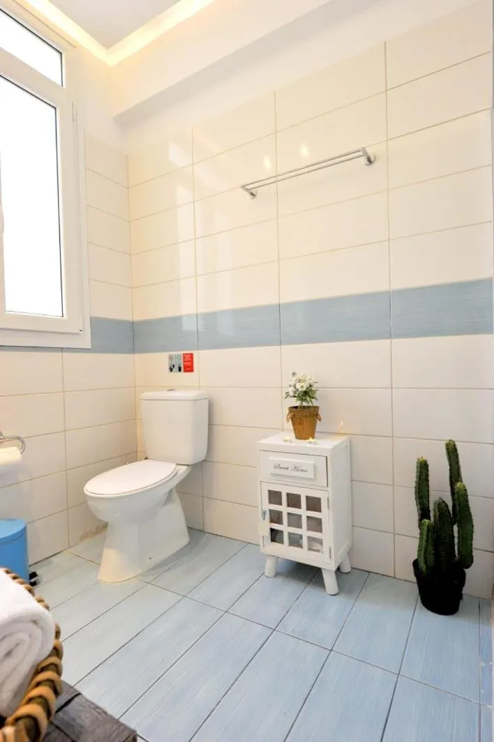Toilet in My Athens House