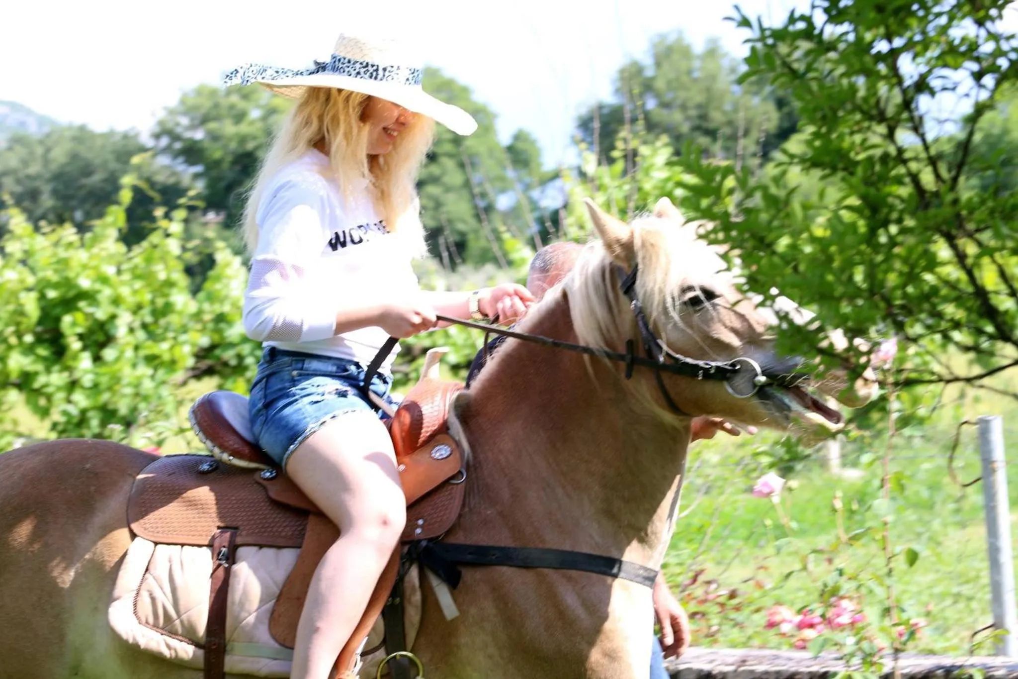 Property building in Mogla Tashan Hotel