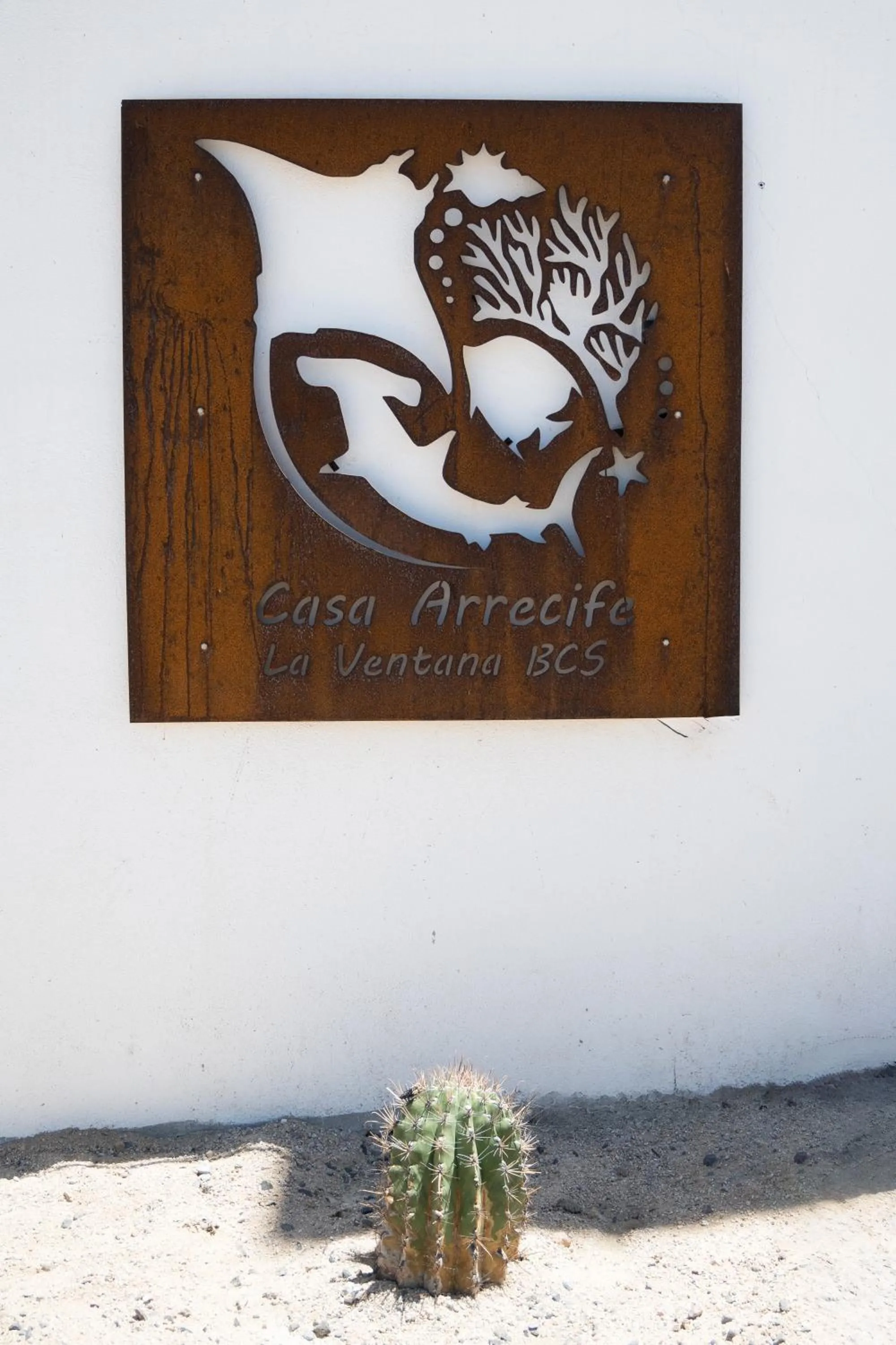 Casa Arrecife Tortuga, Fast Internet, private Cozy room