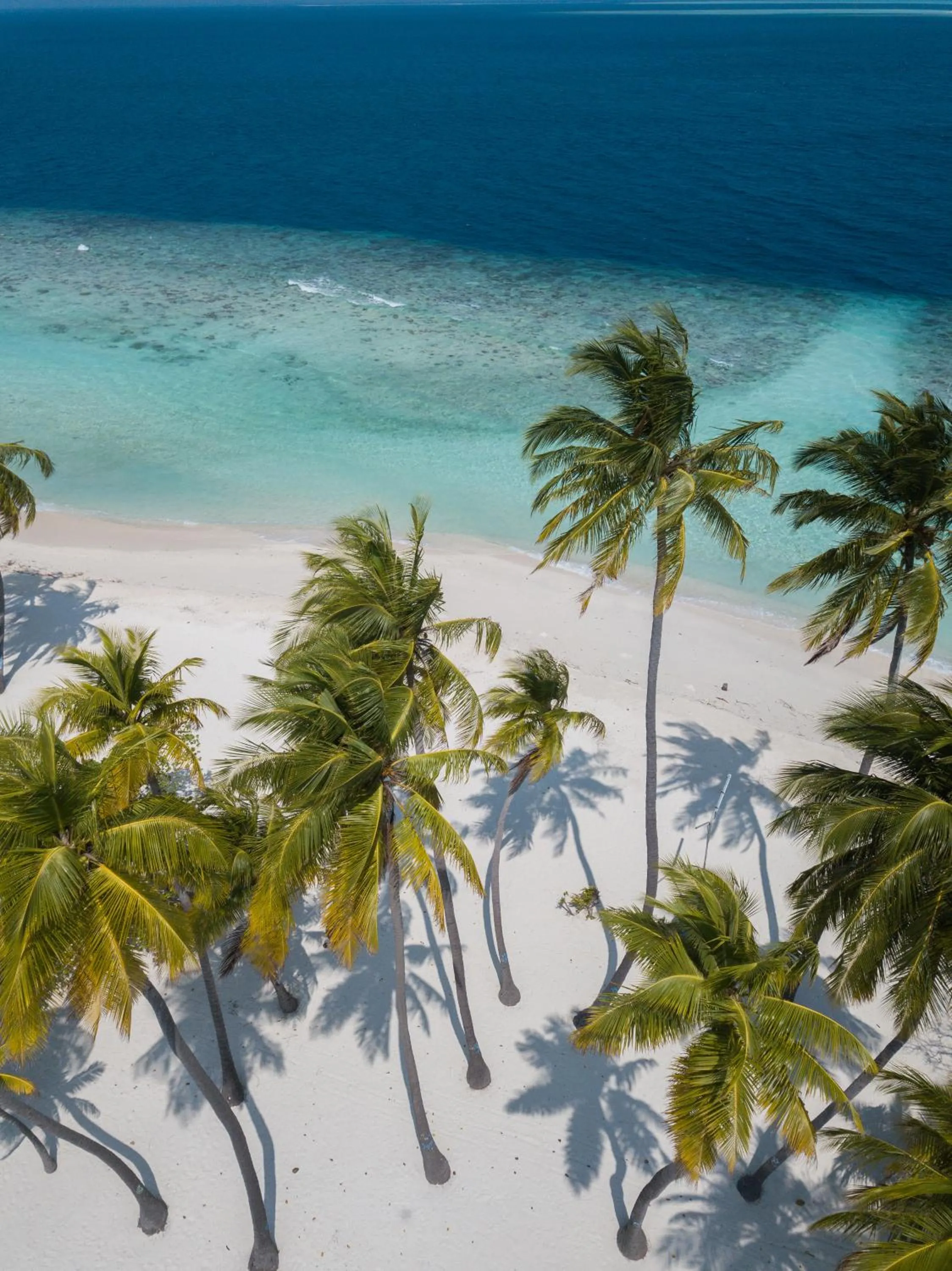 Beach in Baa Sand Maldives