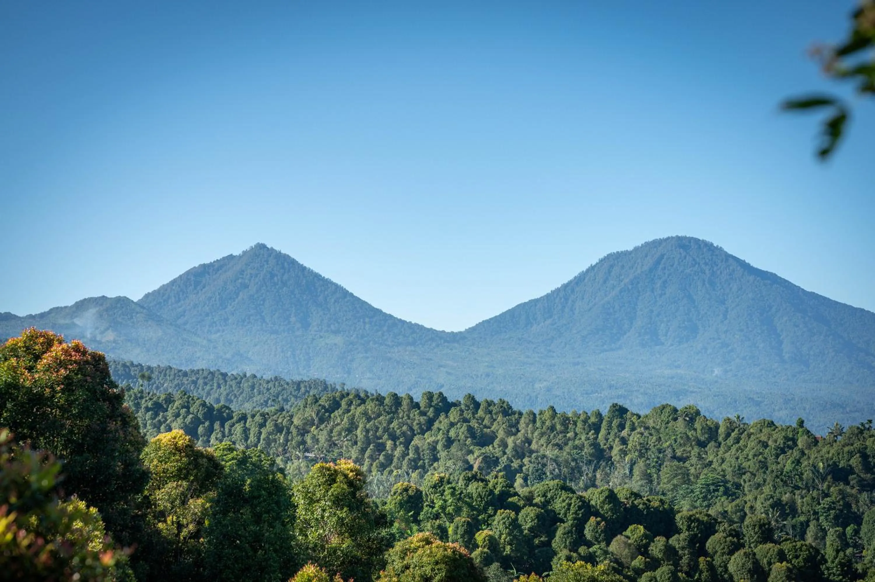 Natural landscape in Umah Lusa
