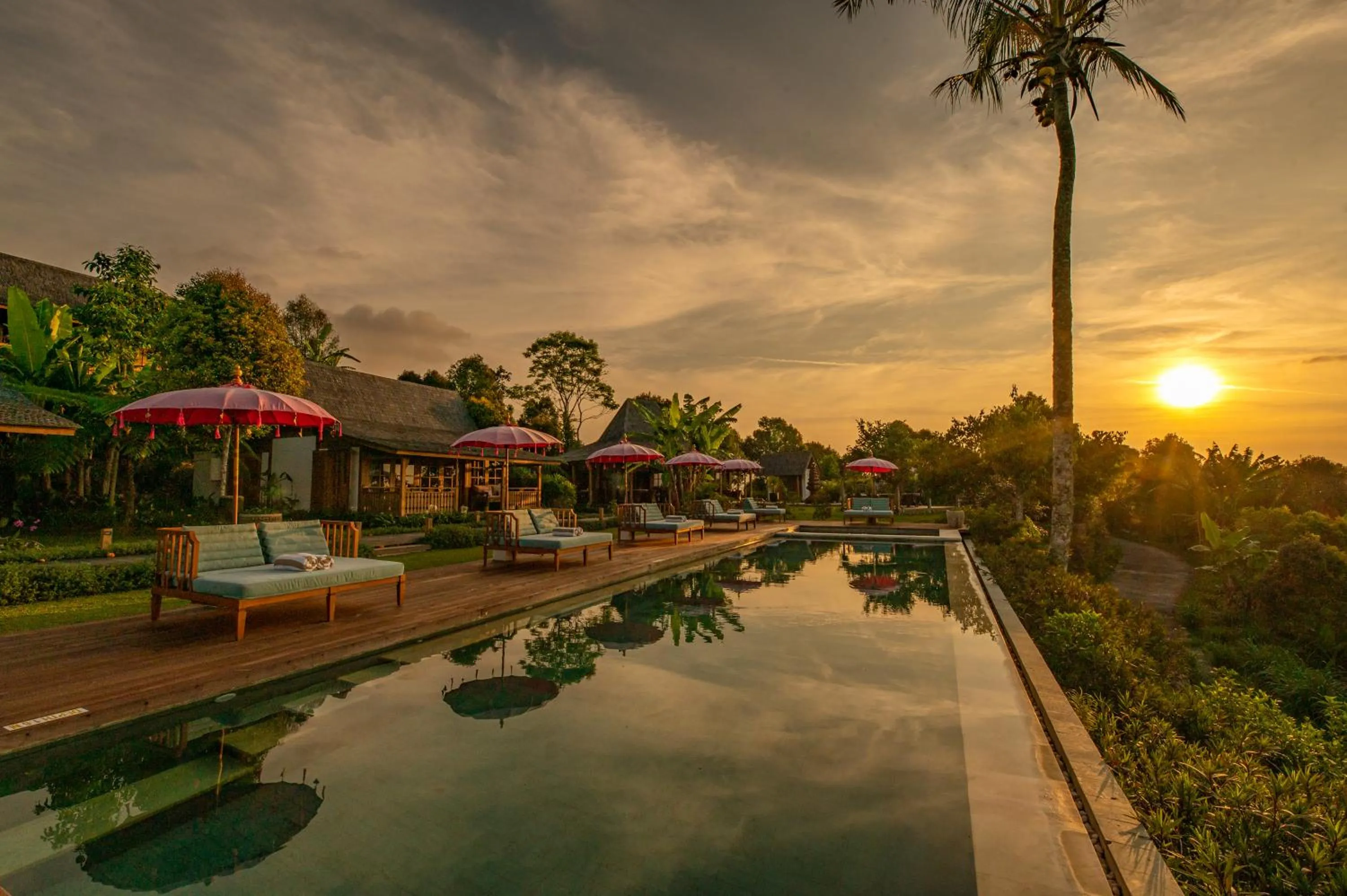 View (from property/room) in Umah Lusa