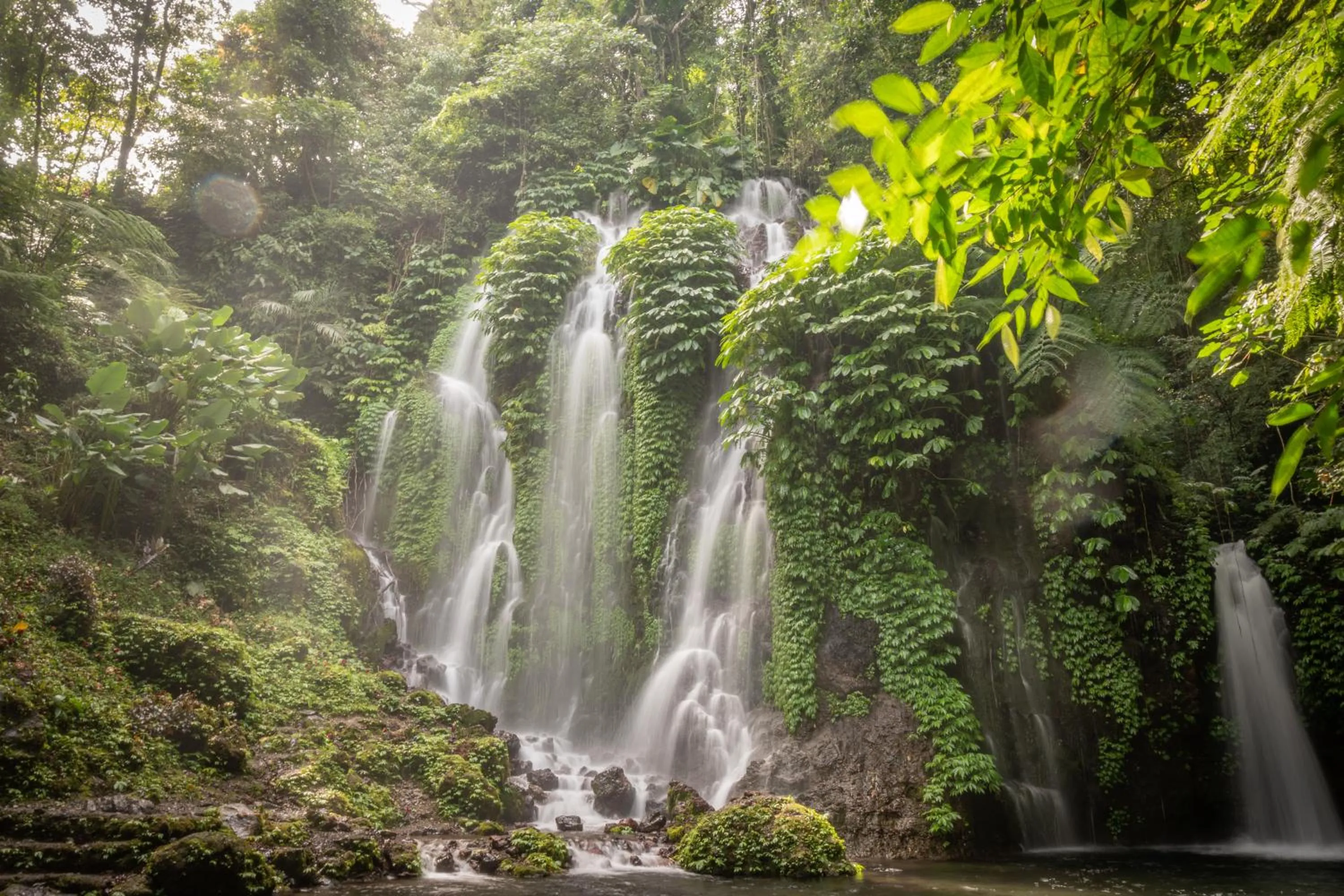 Activities in Umah Lusa